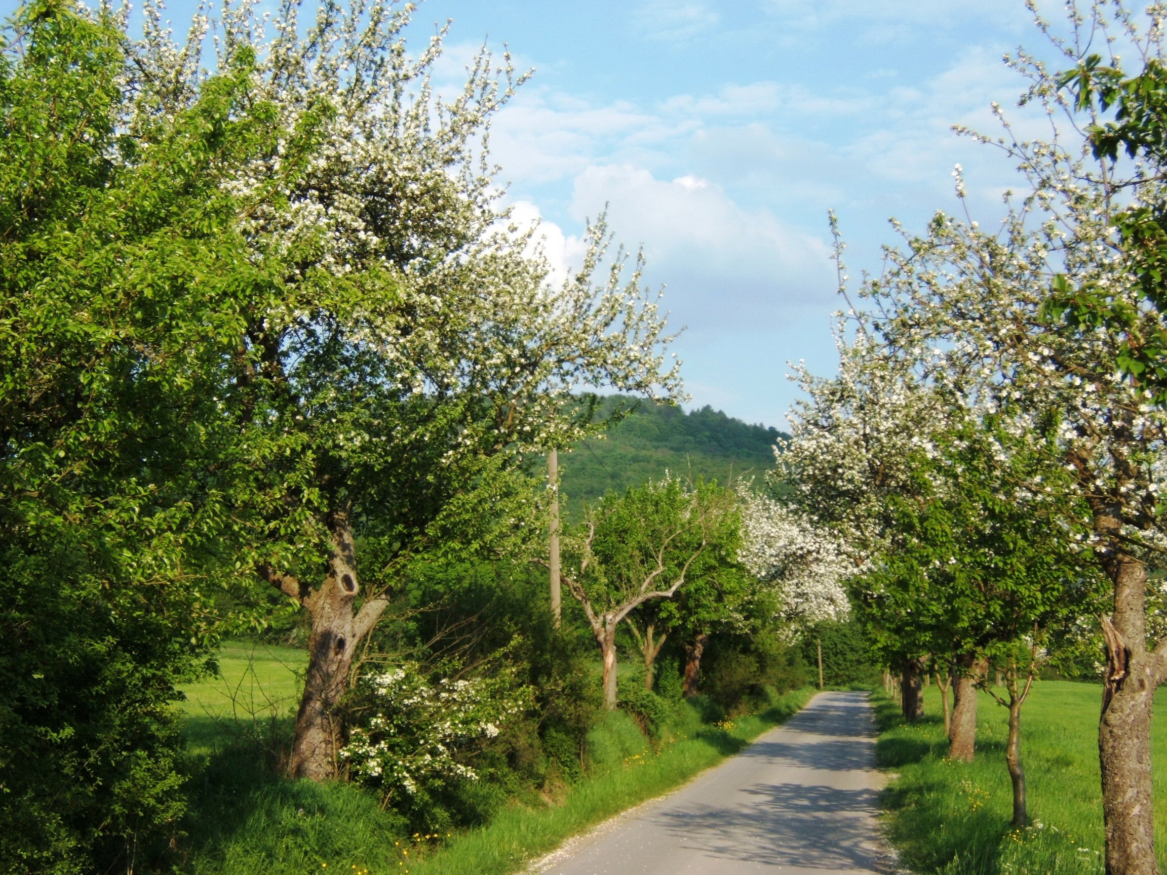 Natuurhuisje in Römhild