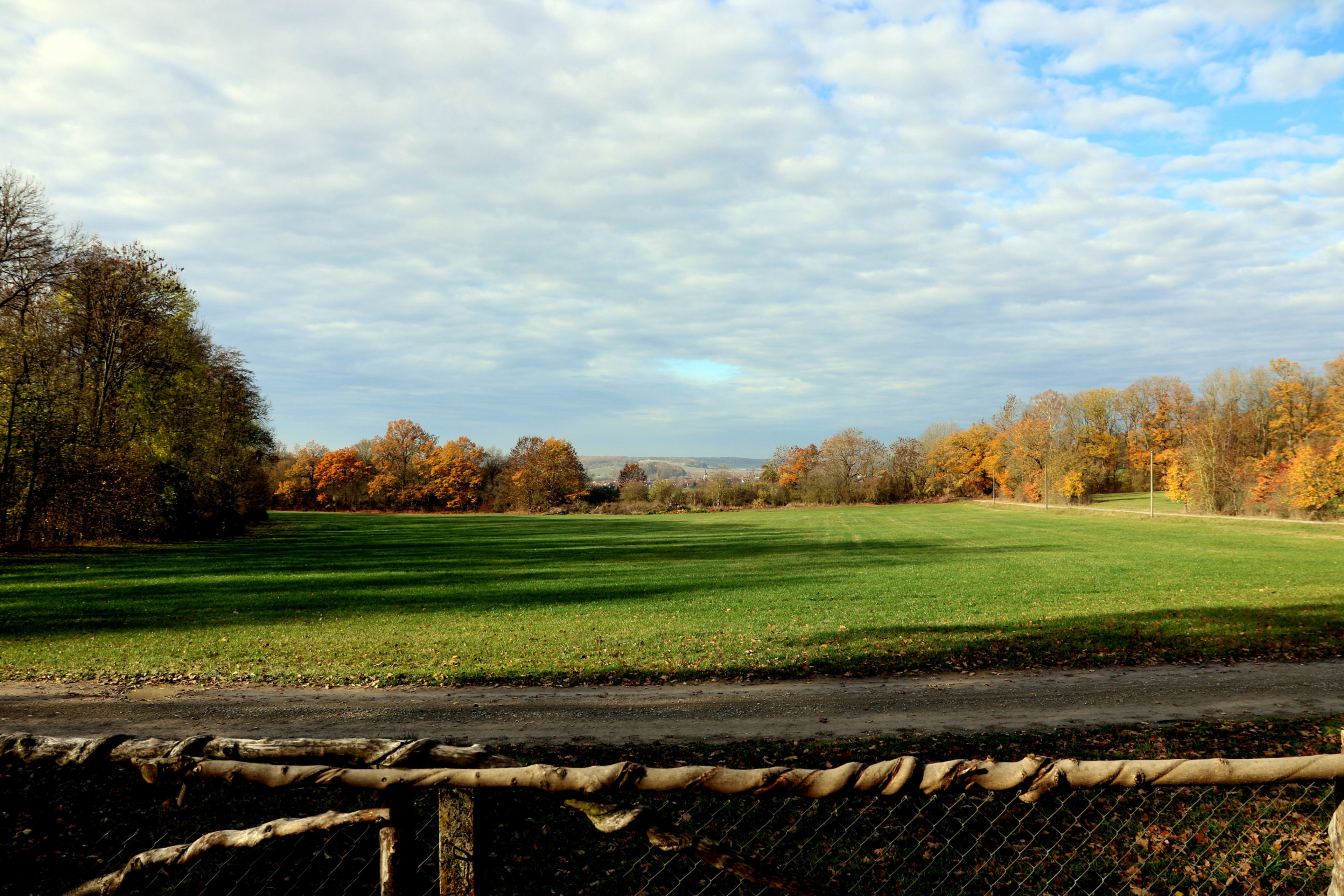 - image: 11