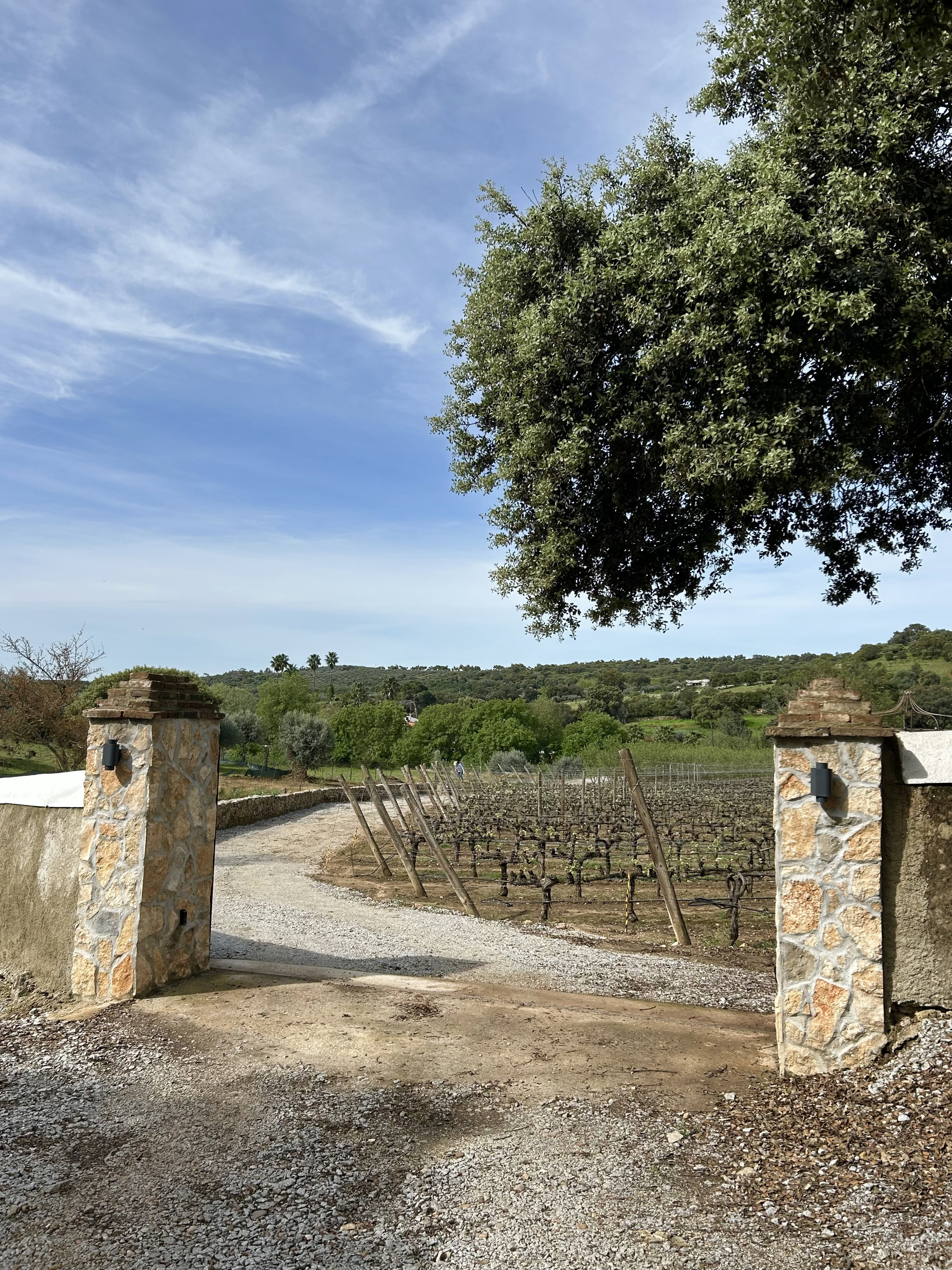 Natuurhuisje in Elvas
