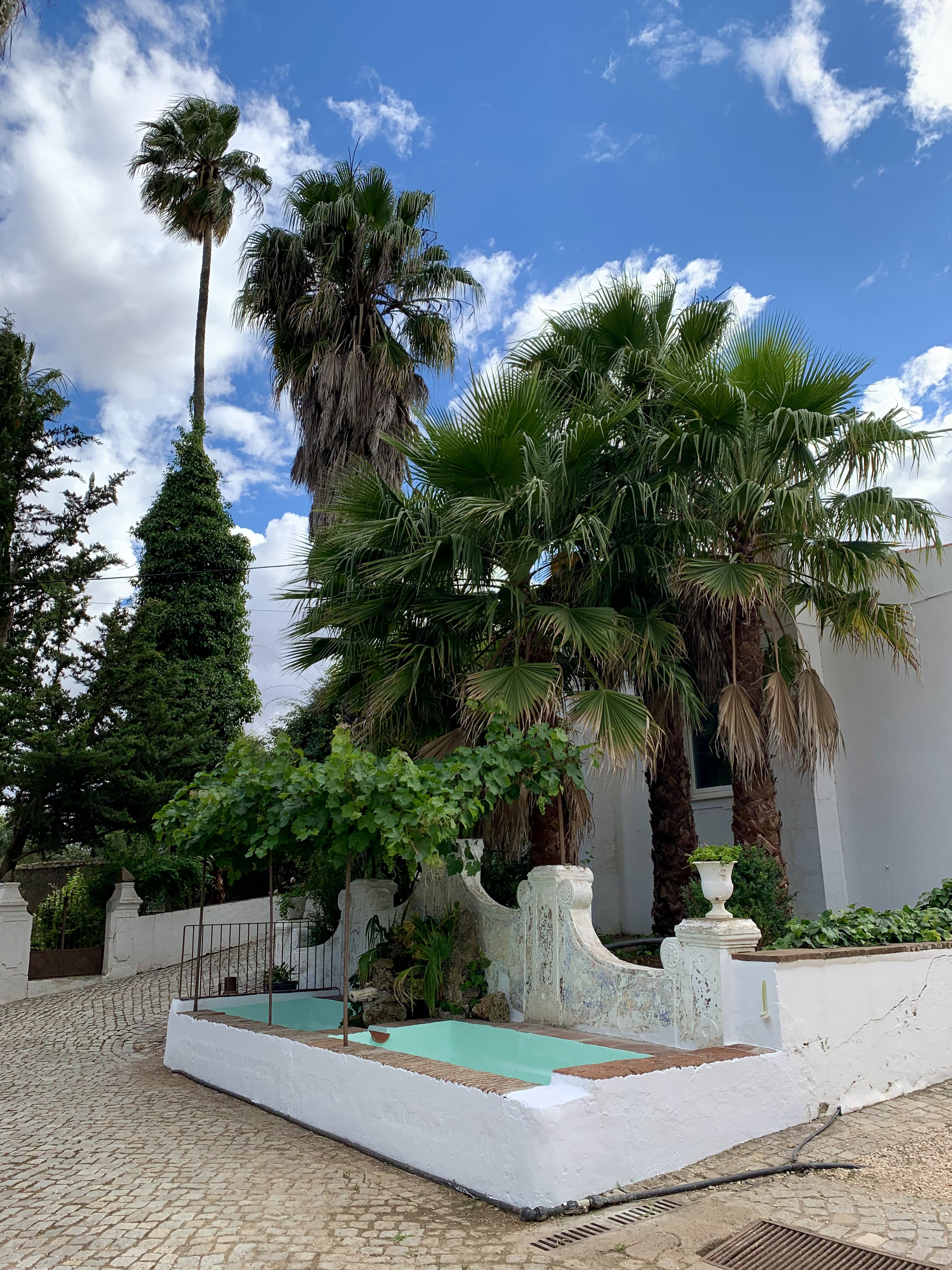Natuurhuisje in Elvas