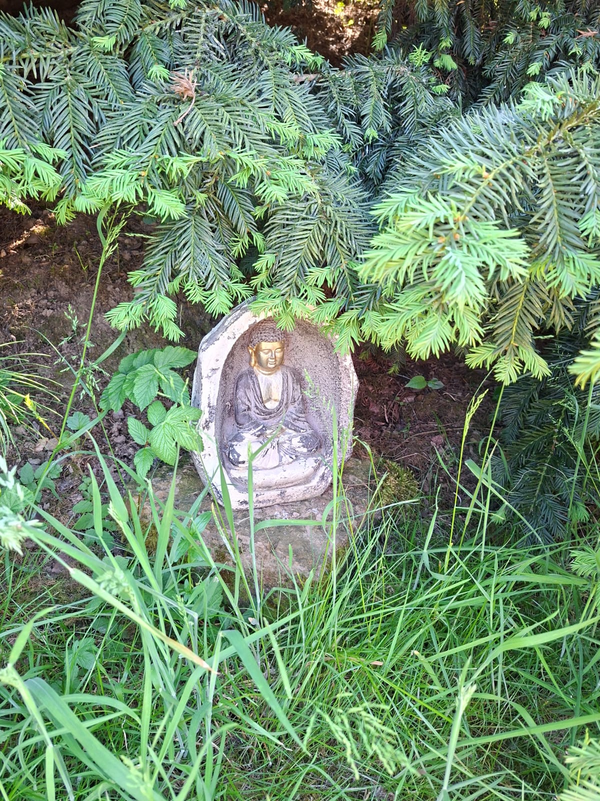 Natuurhuisje in Bayerfeld-Steckweiler