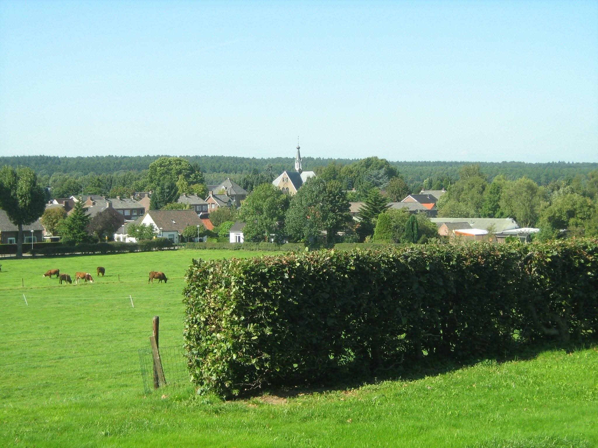 - image: 10