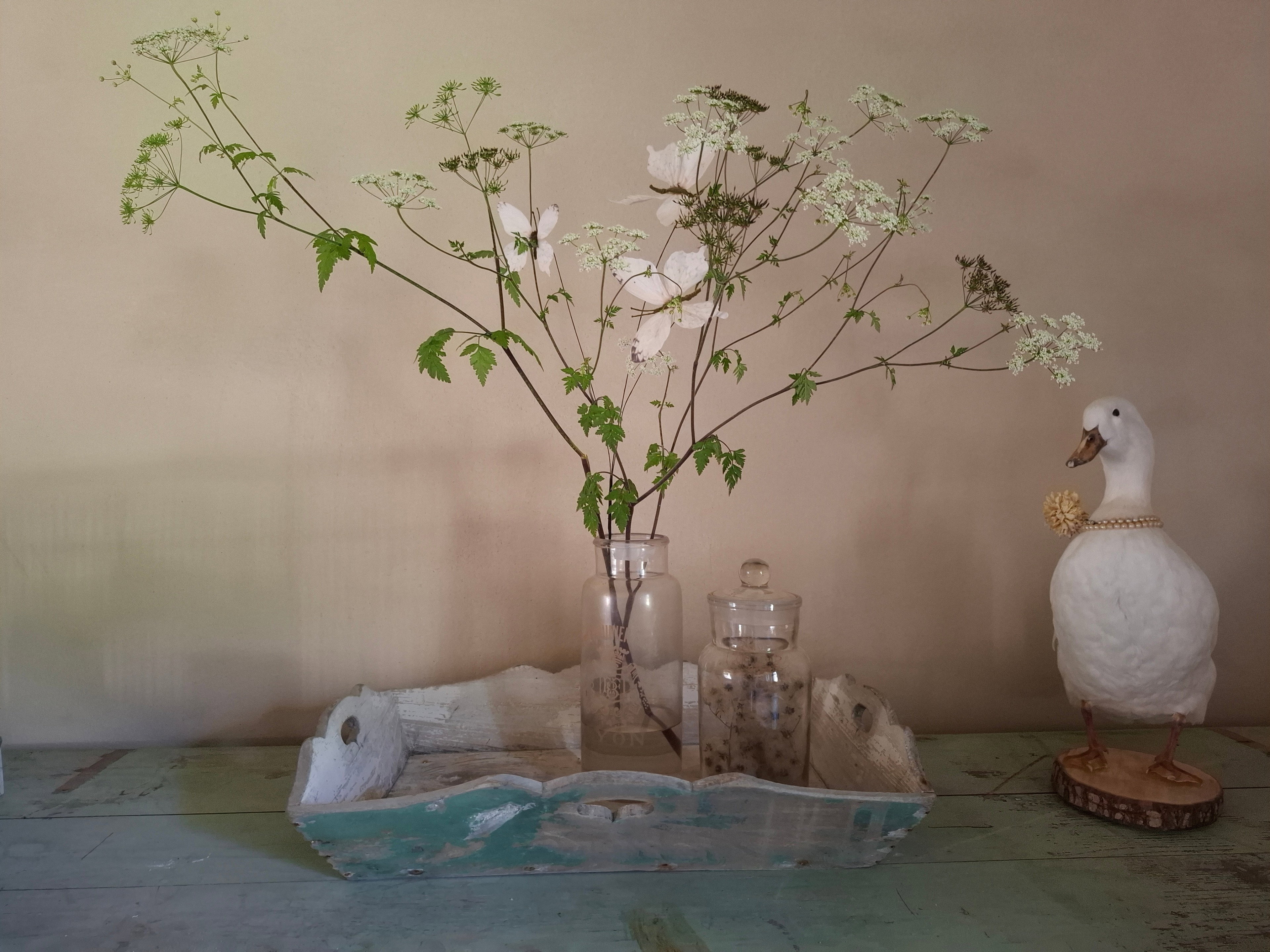 Casa nella natura a Livry