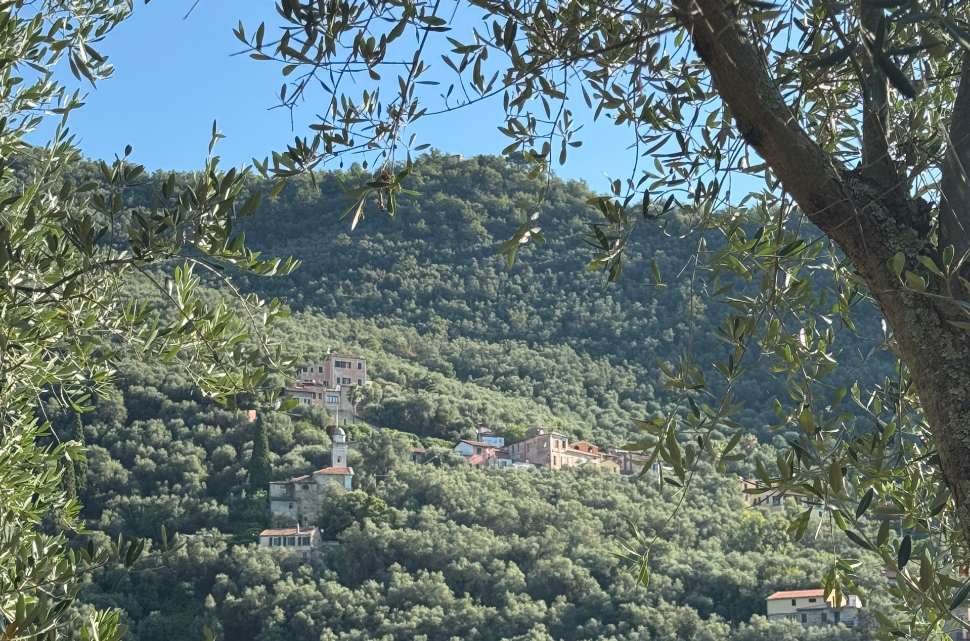 Casa nella natura a Molini di Prela
