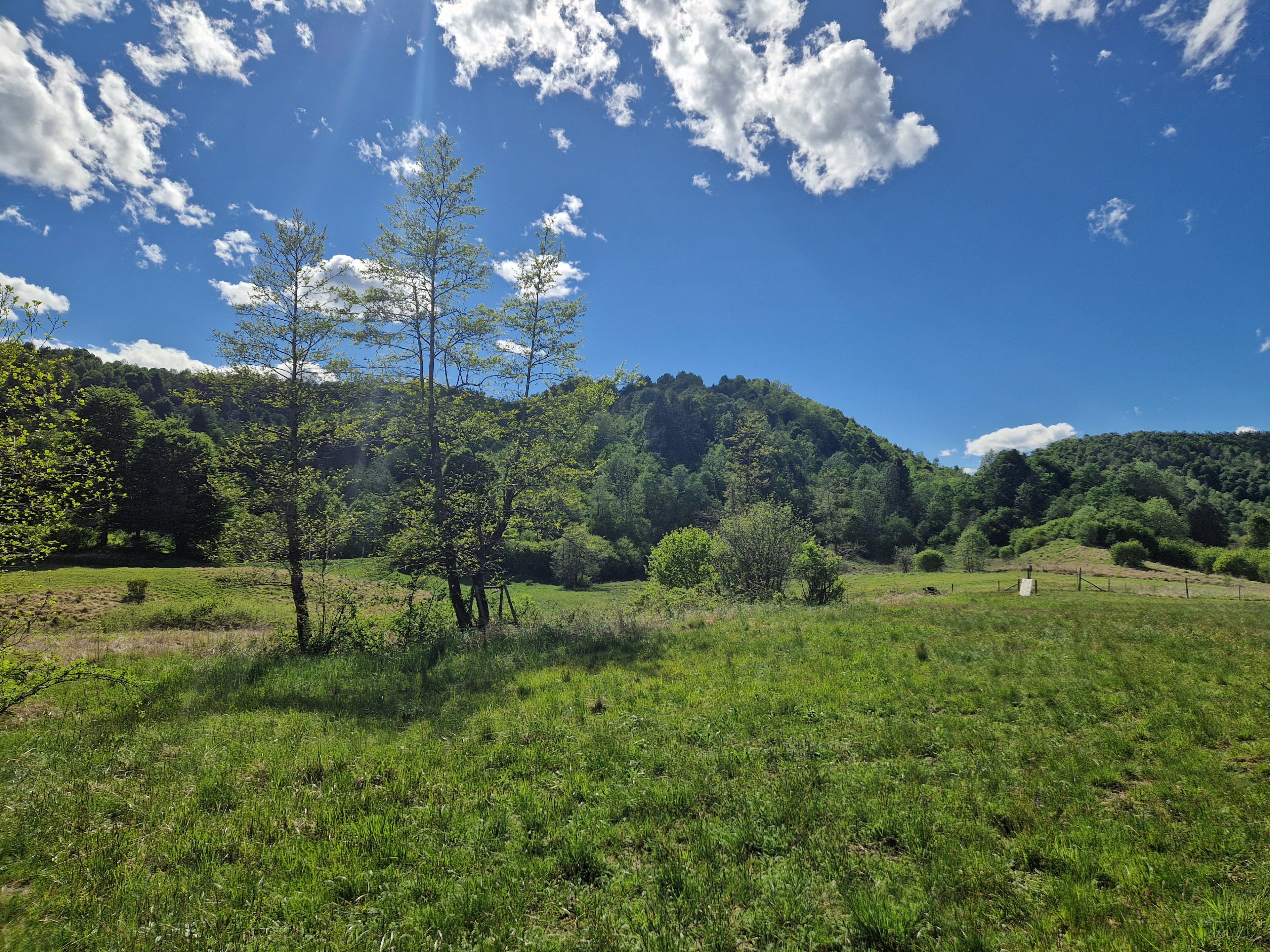 Natuurhuisje in Taipana UD