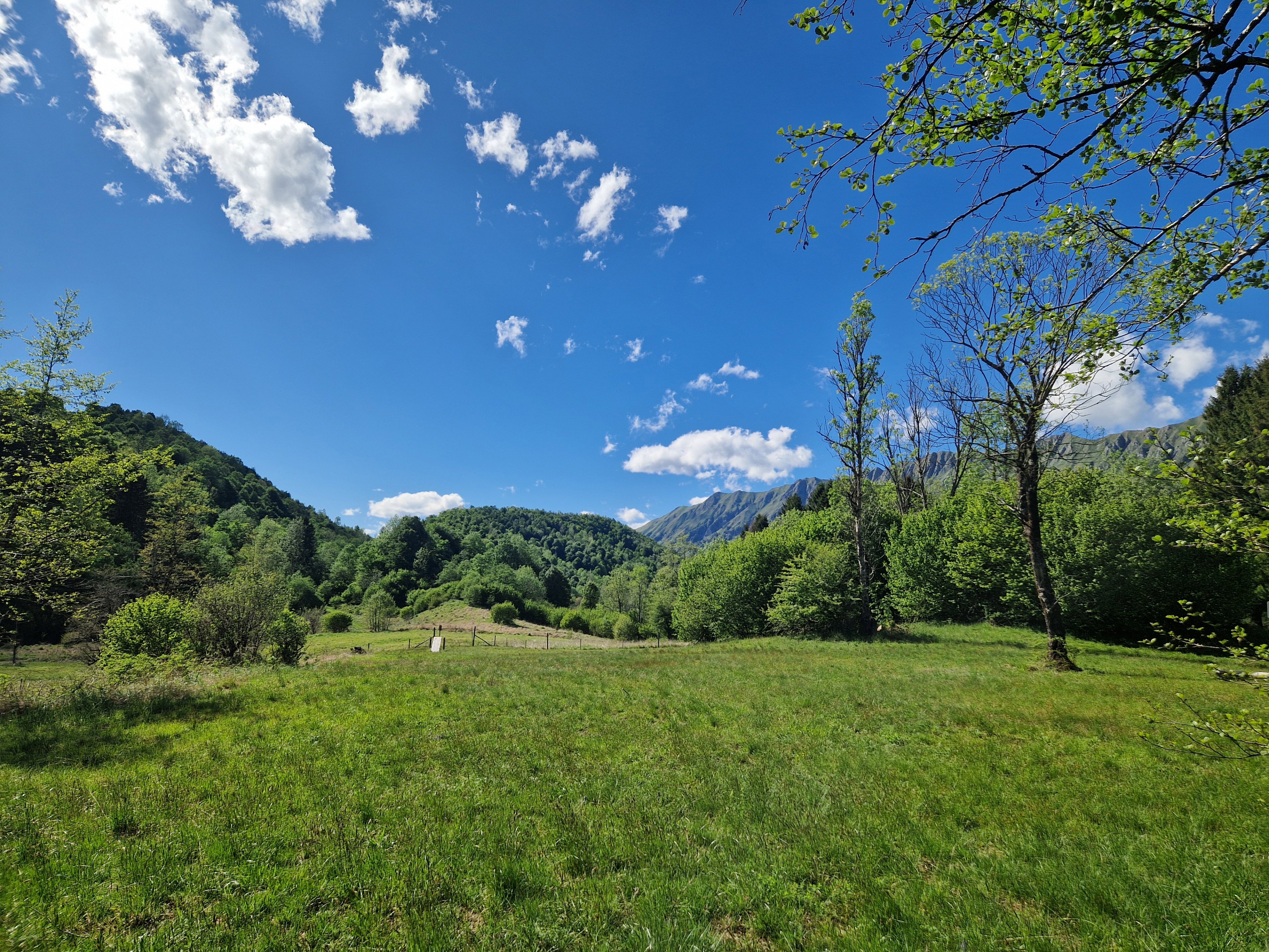 Natuurhuisje in Taipana UD