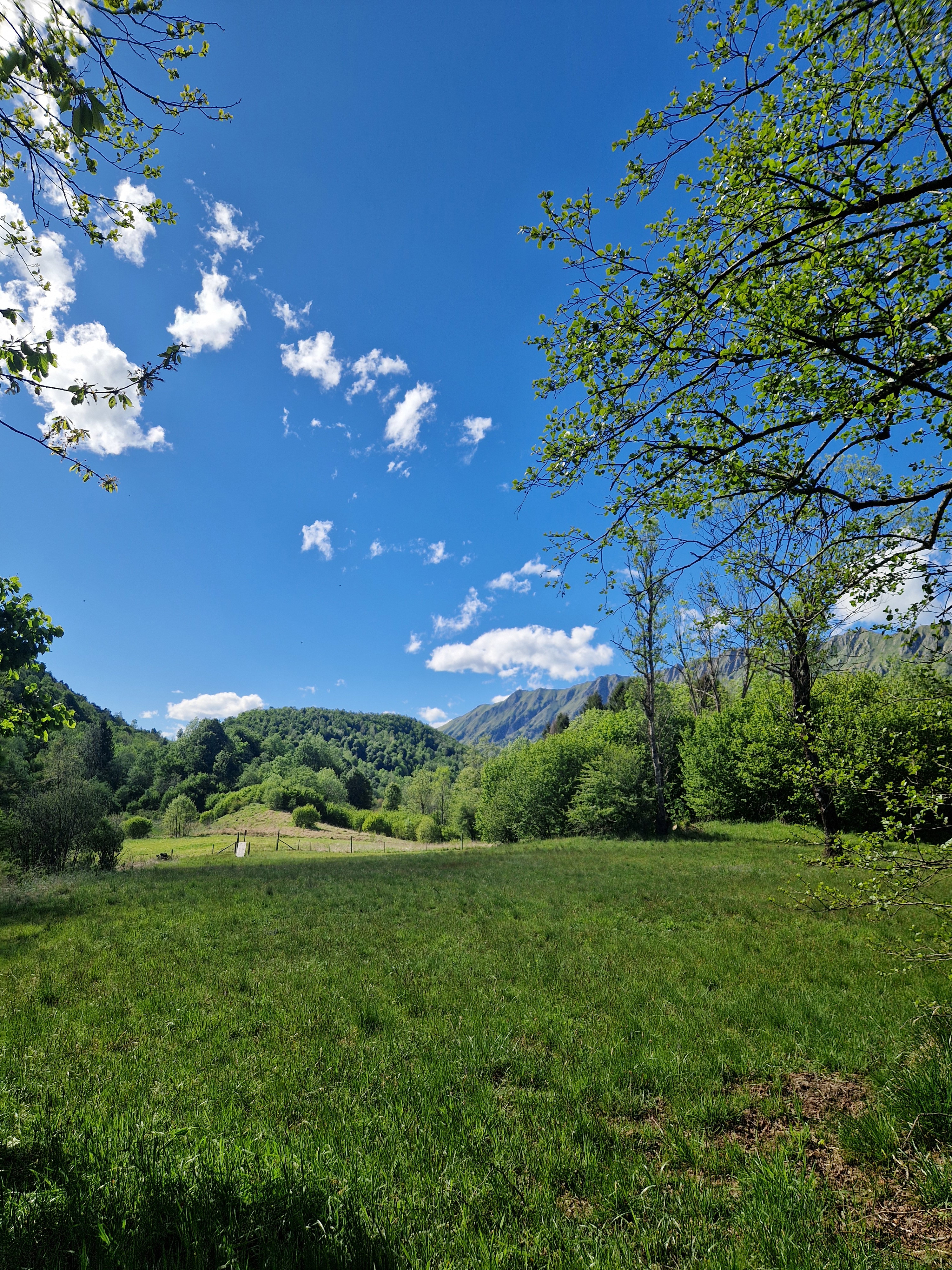 Natuurhuisje in Taipana UD