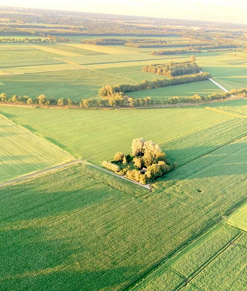 Casa nella natura a Dalerveen