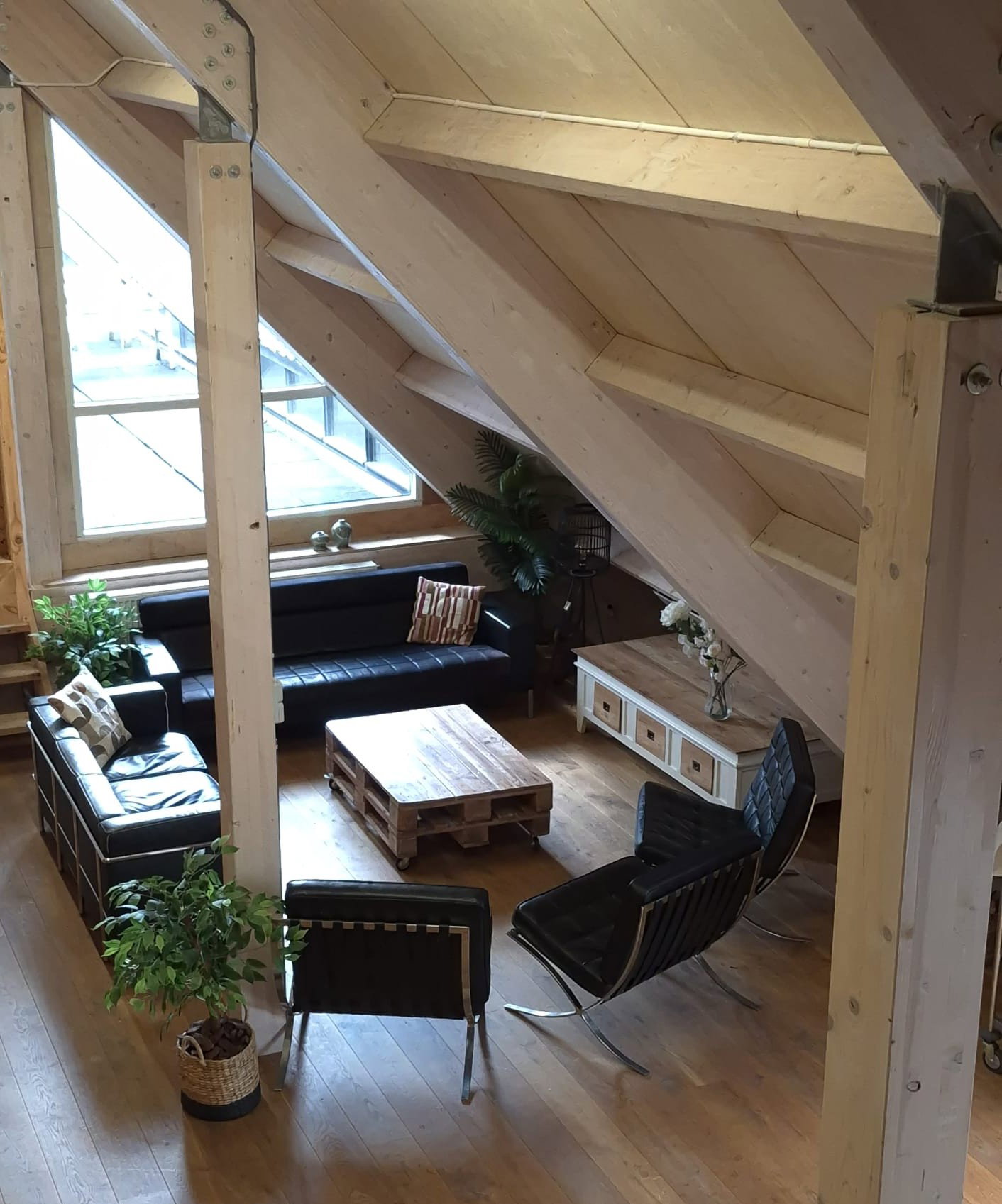 - image: 9
