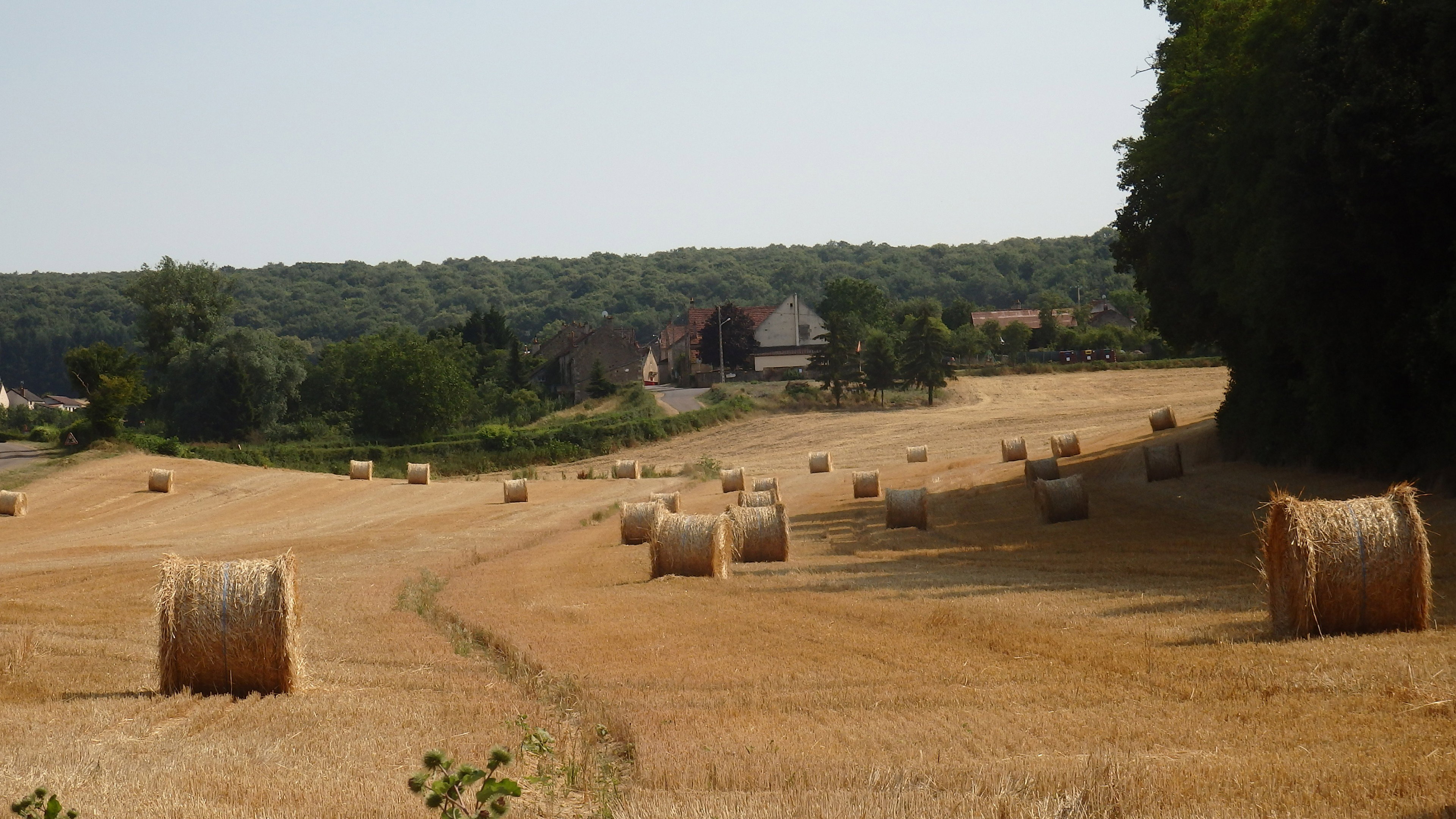 Nature house in Tannay
