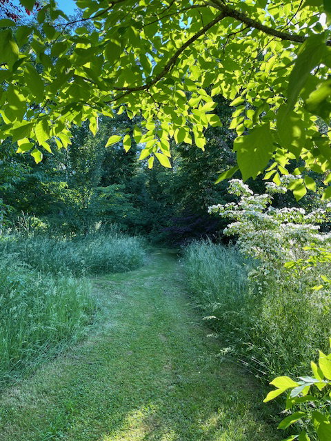 - image: 13