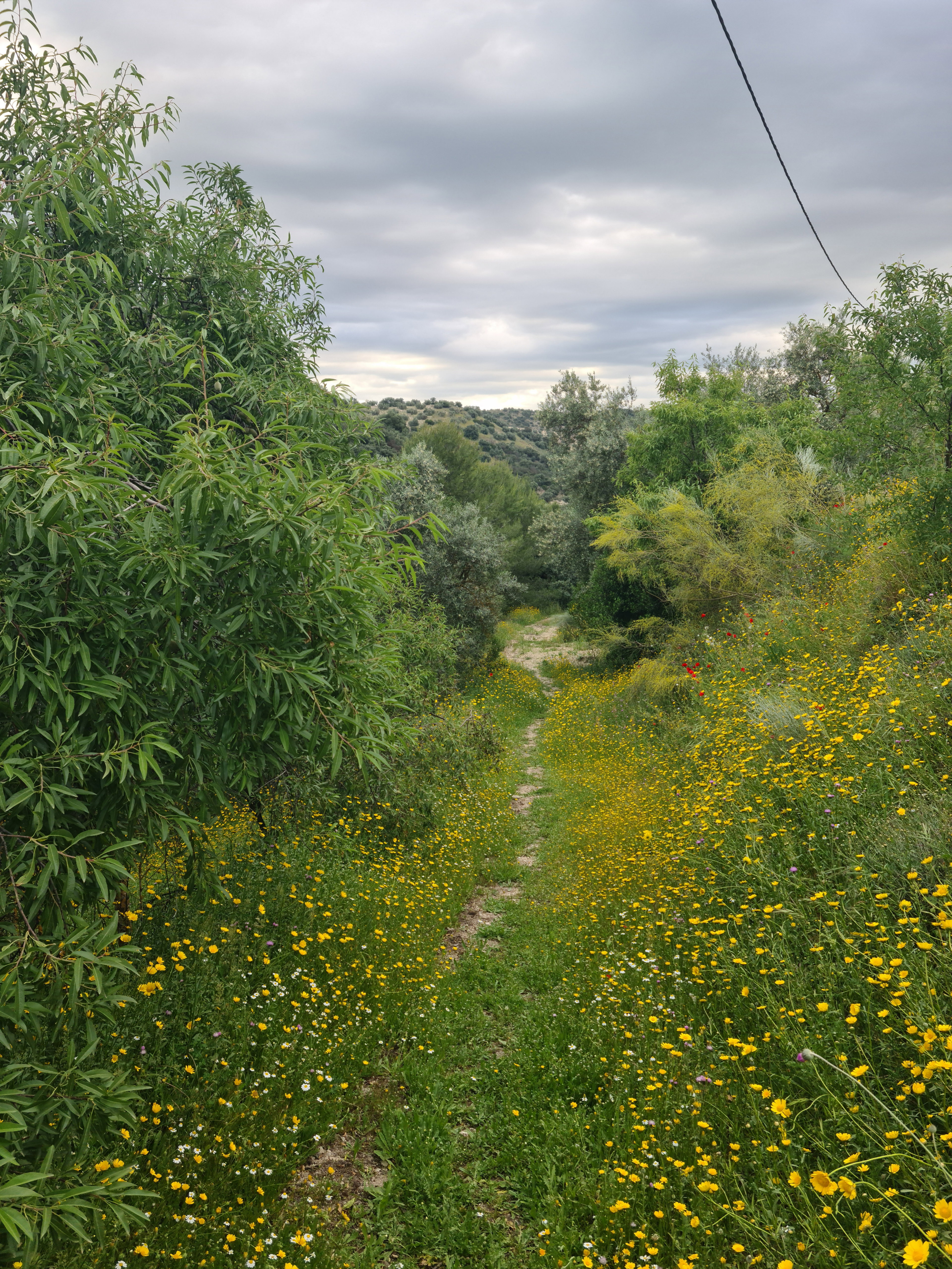 Natuurhuisje in Iznájar
