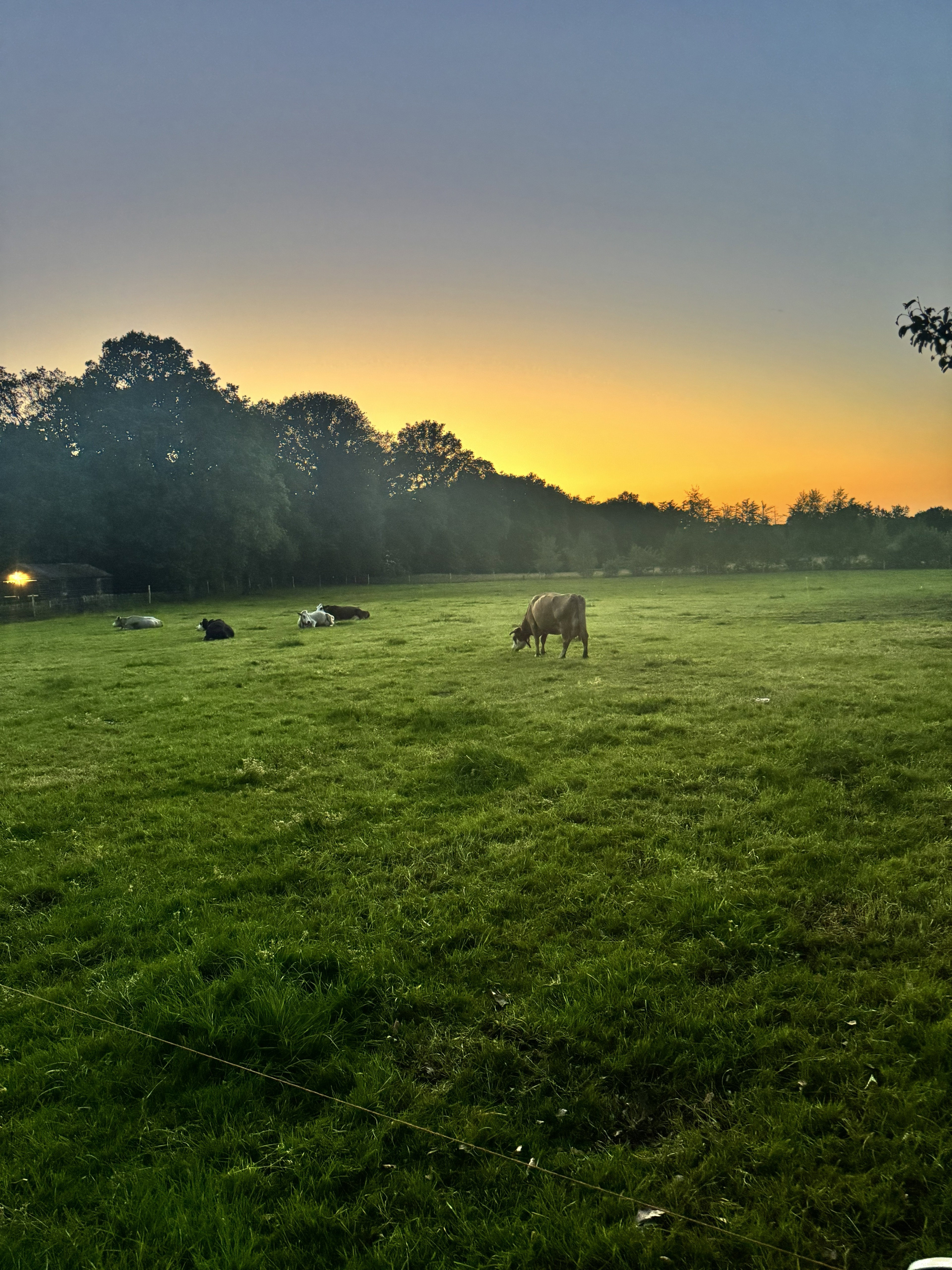 Natuurhuisje in Doldersum
