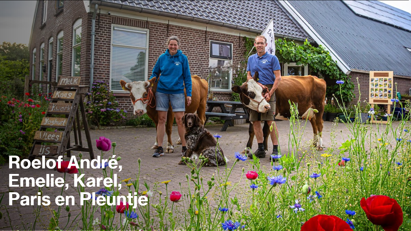 Natuurhuisje in Doldersum