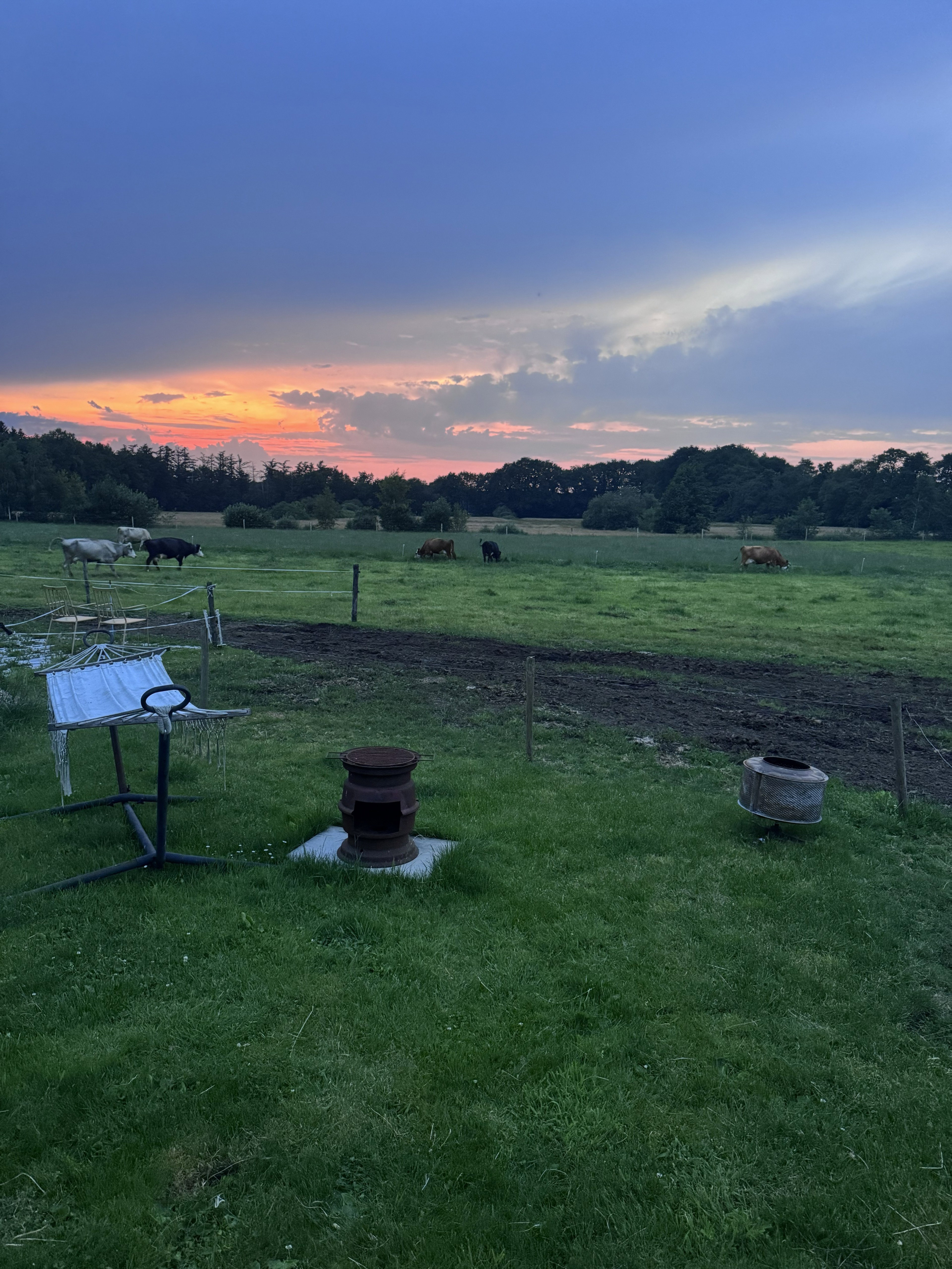 Natuurhuisje in Doldersum