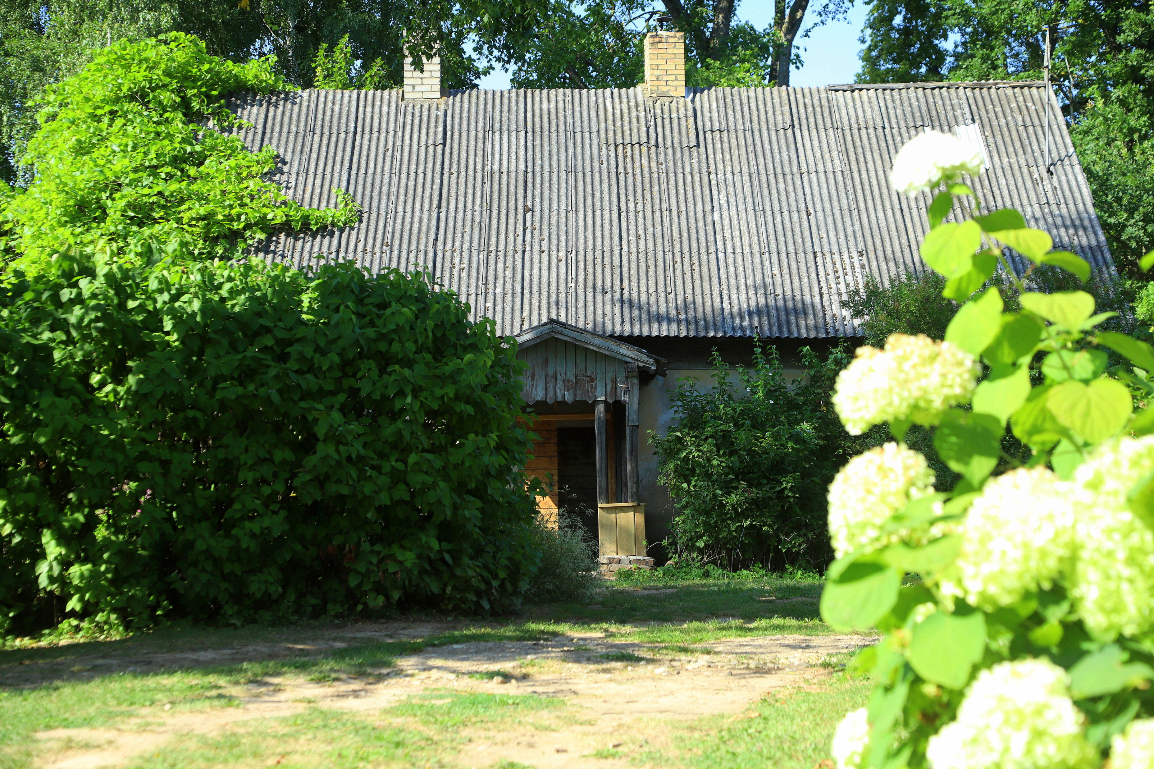 - image: 23
