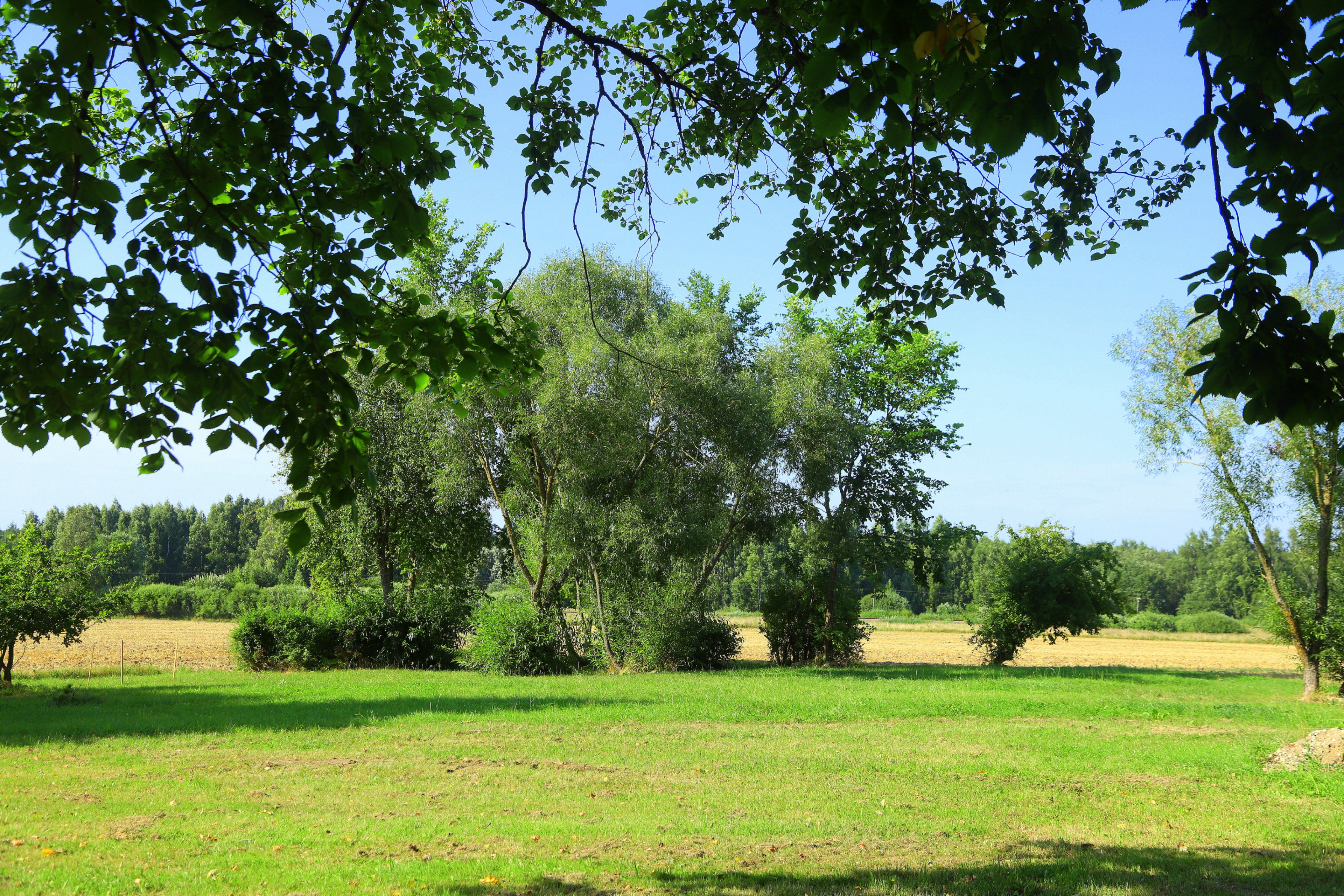 - image: 24