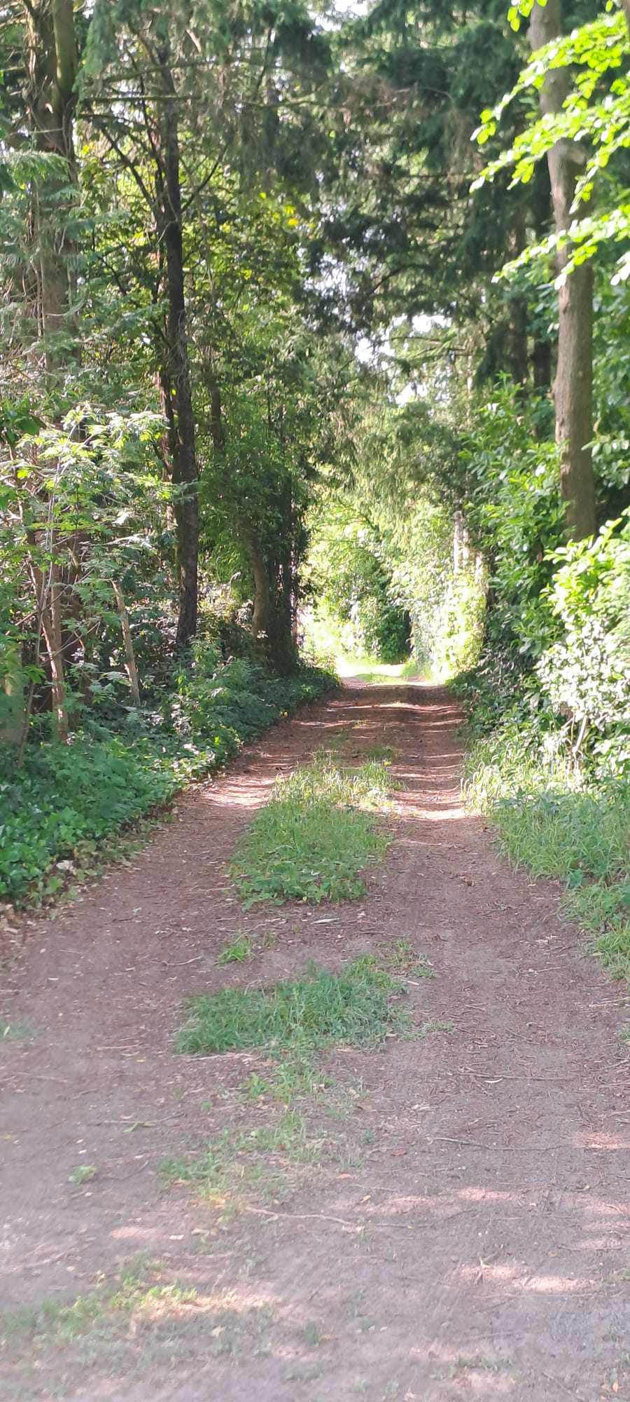 Natuurhuisje in Voorthuizen