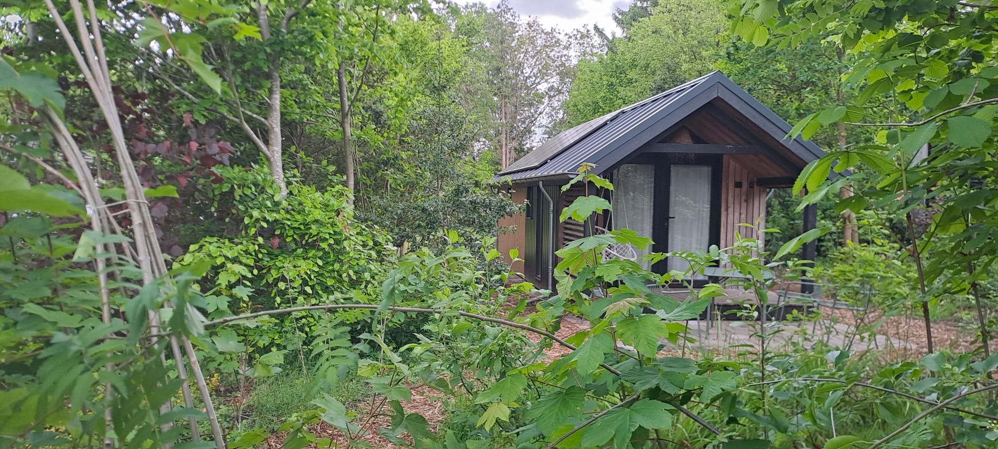 Natuurhuisje in Voorthuizen