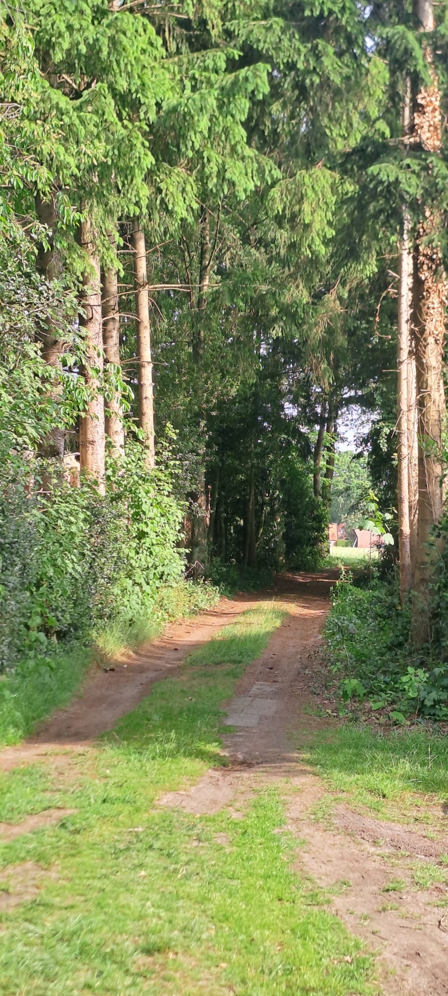 Natuurhuisje in Voorthuizen