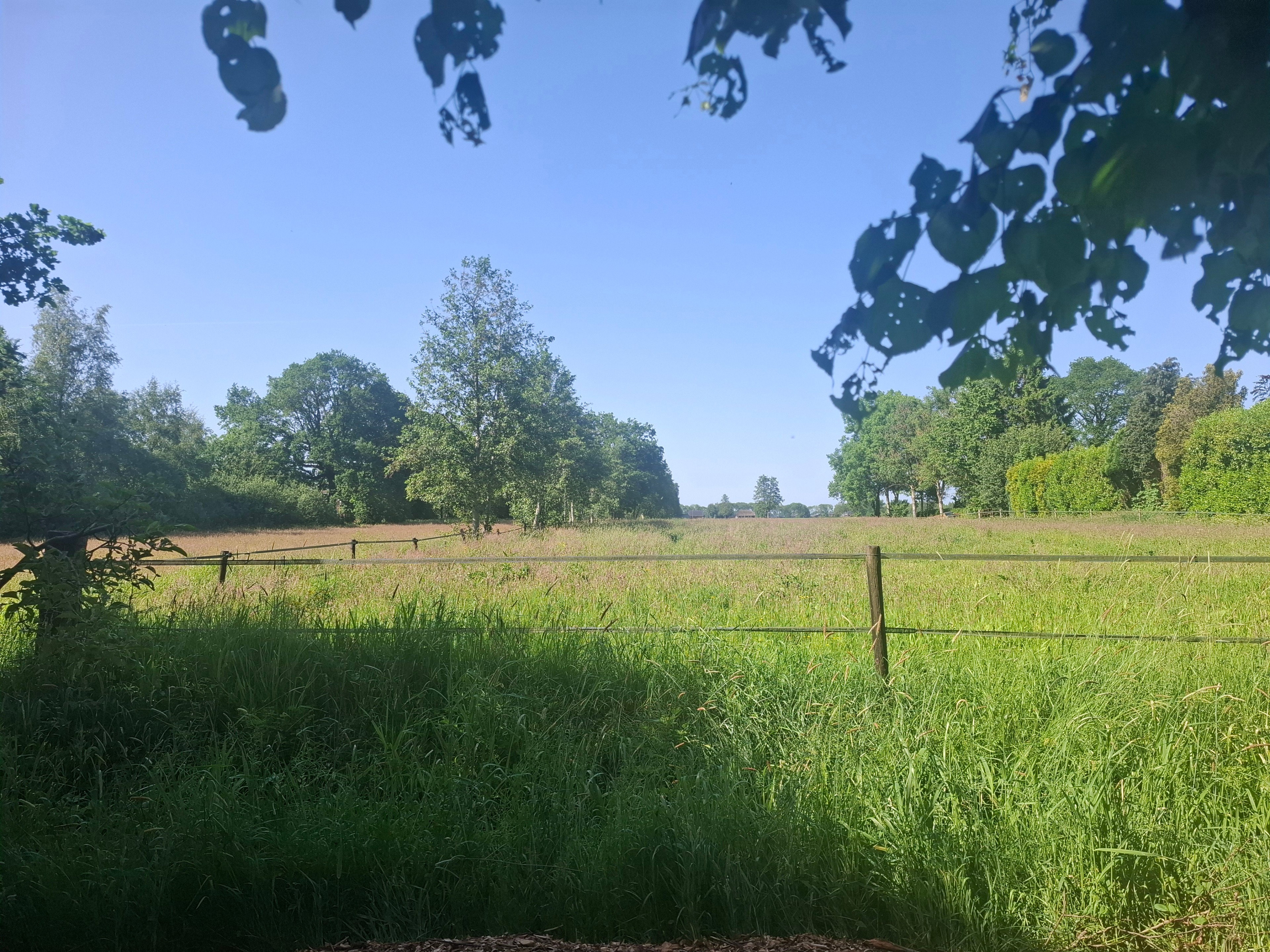 Natuurhuisje in Ruinerwold