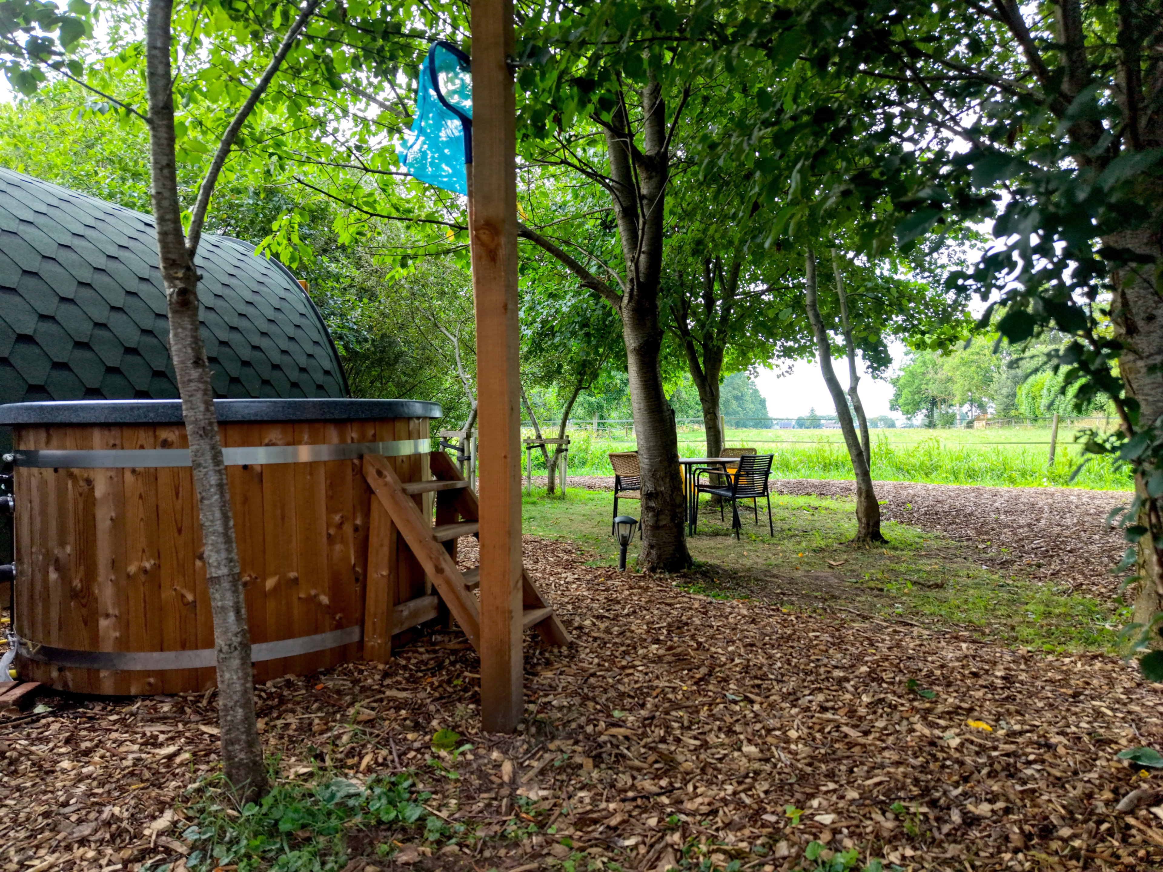 Nature house in Ruinerwold