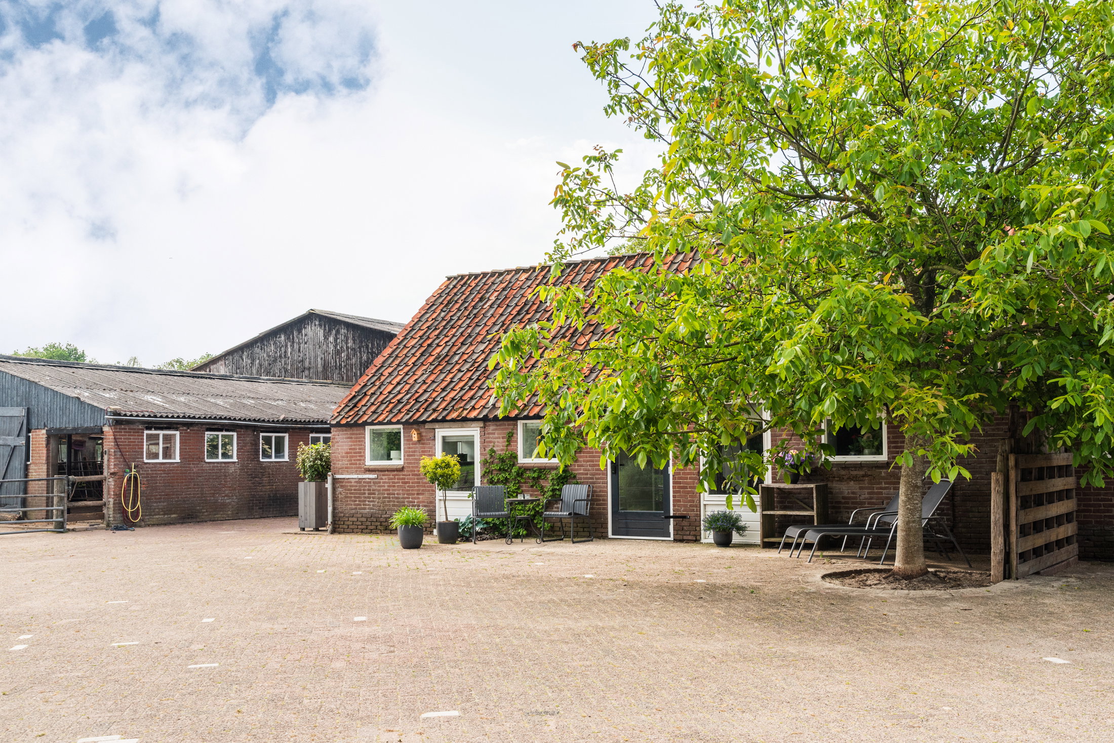 - image: 24