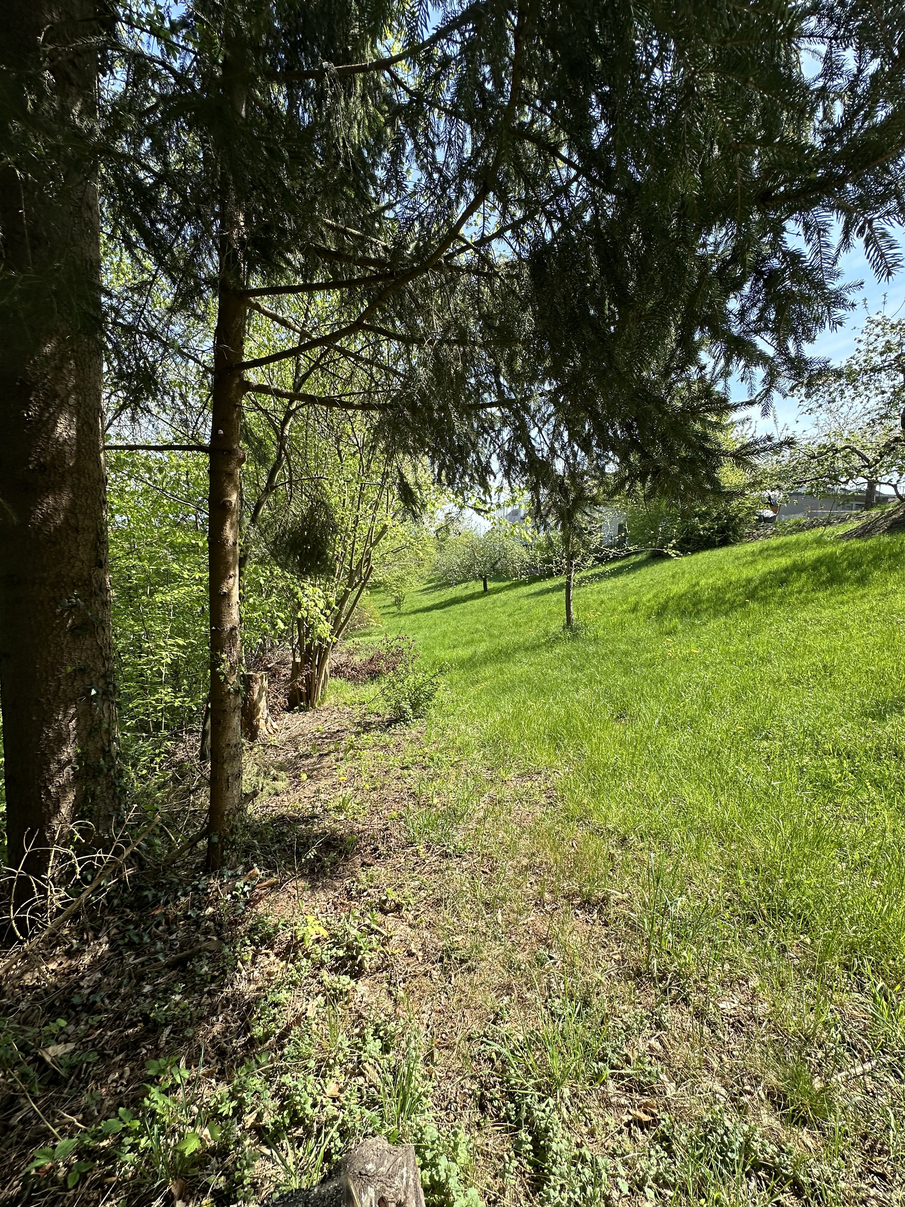 Casa nella natura a Hohenraunau