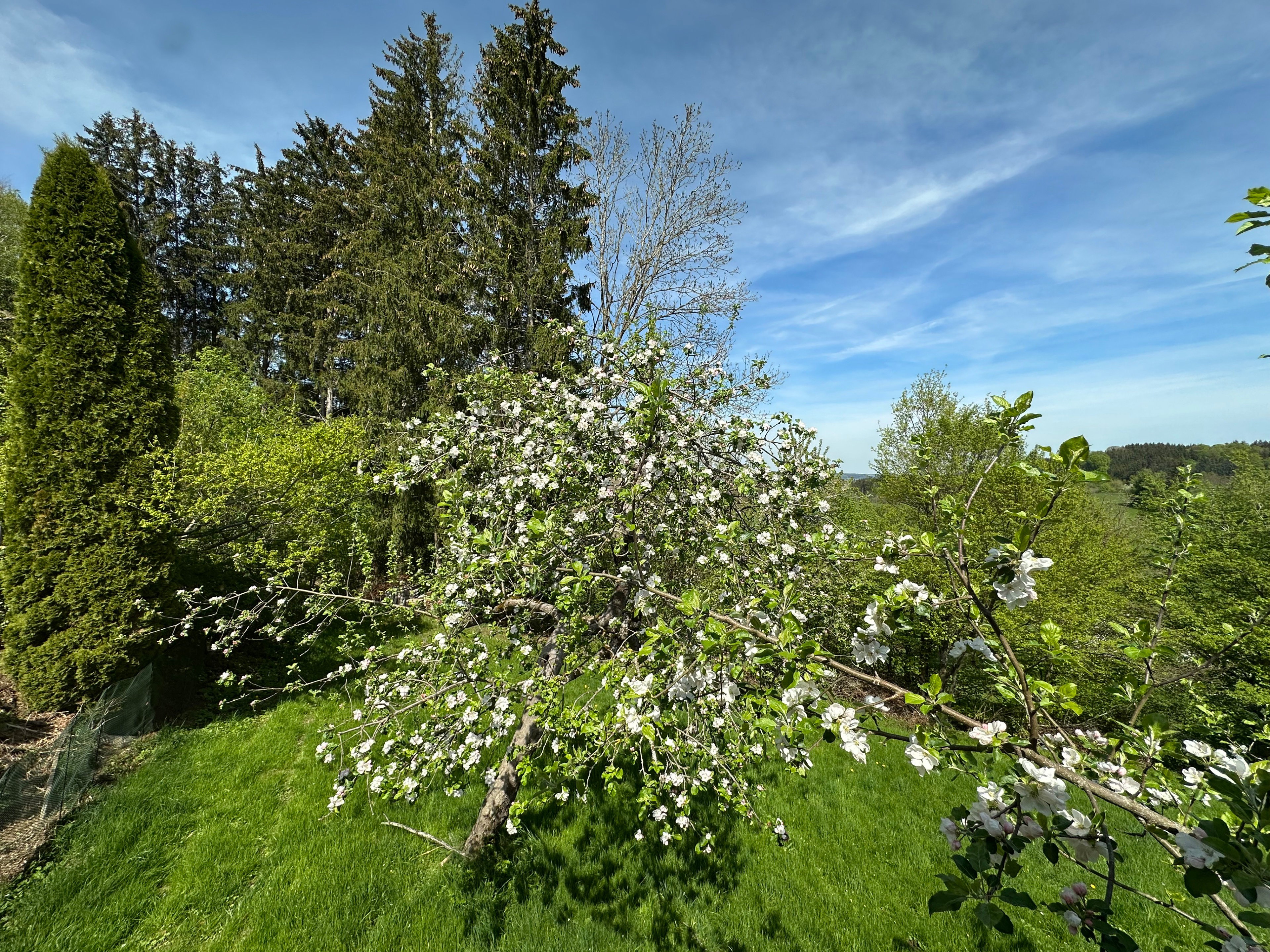 Casa nella natura a Hohenraunau