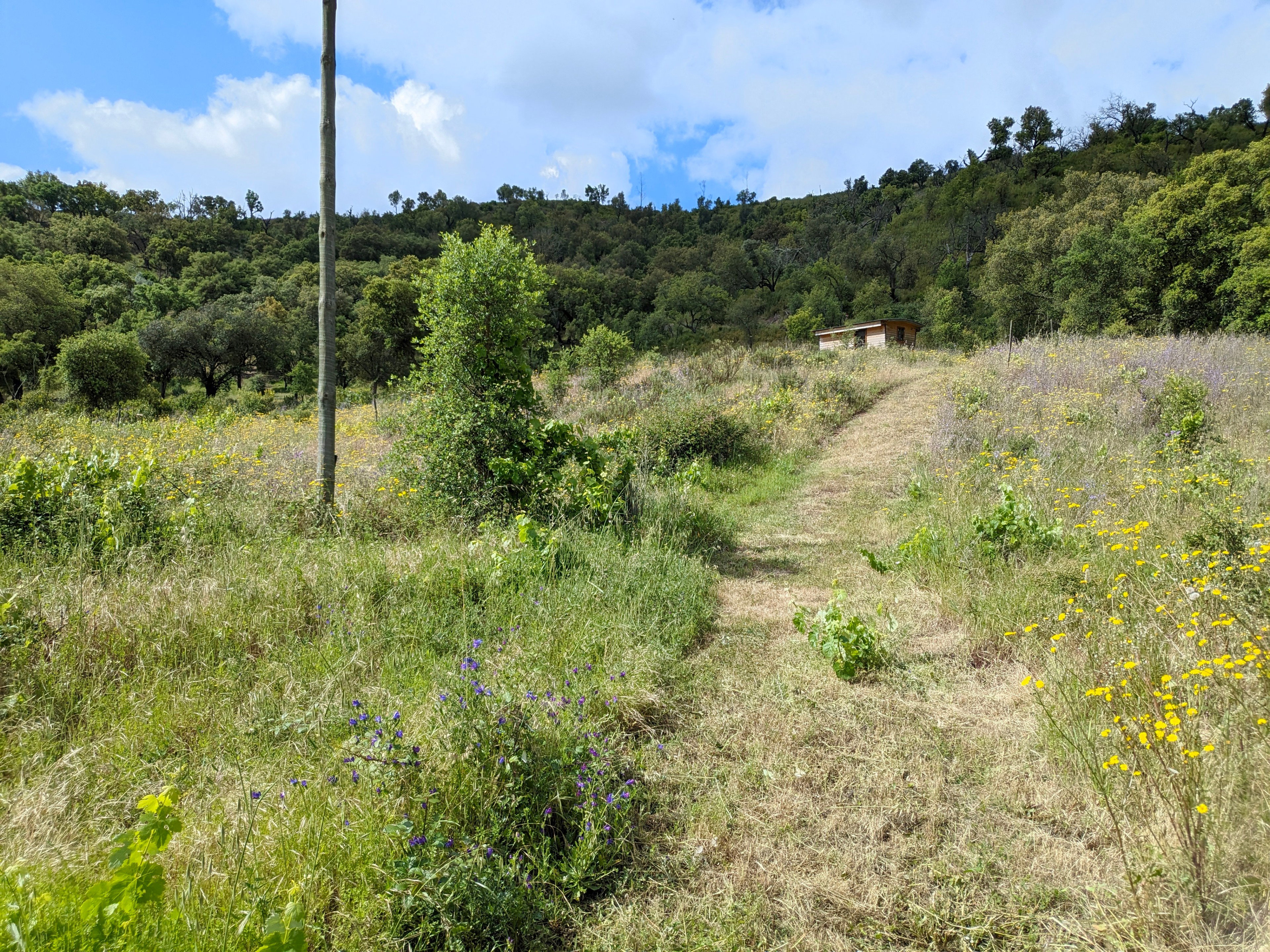 Natuurhuisje in sao Martinho