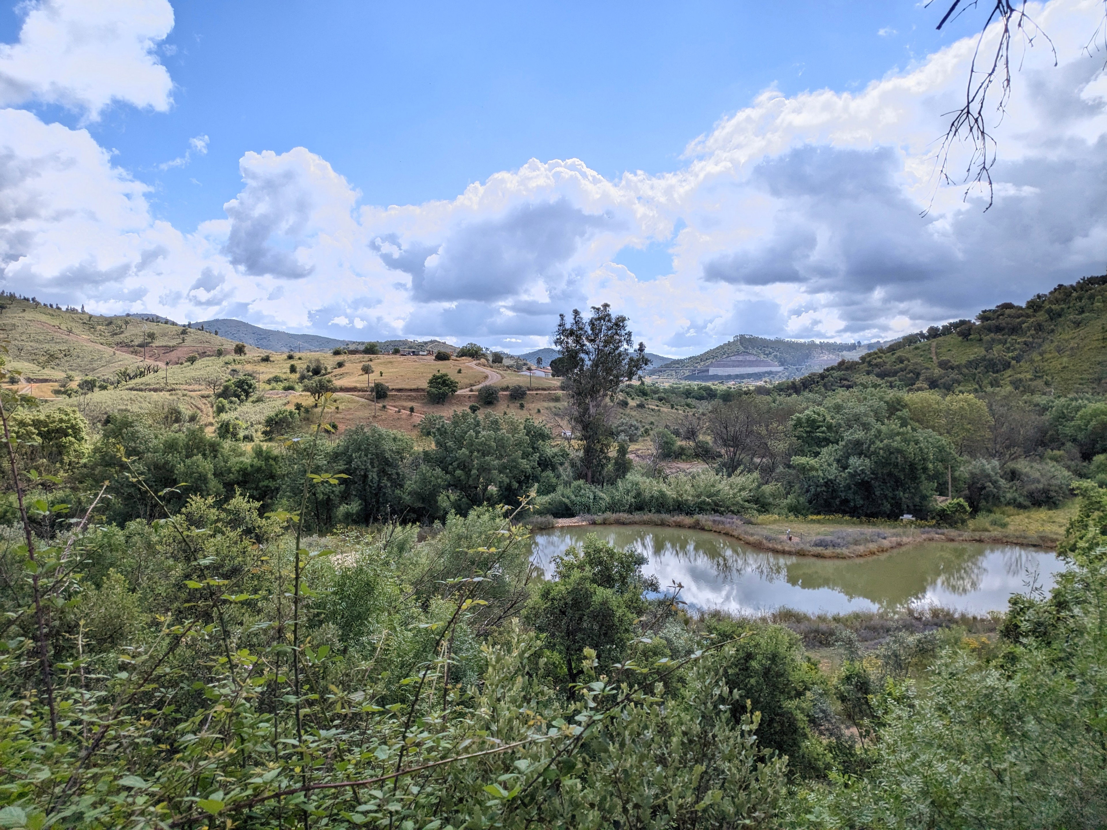 Natuurhuisje in sao Martinho