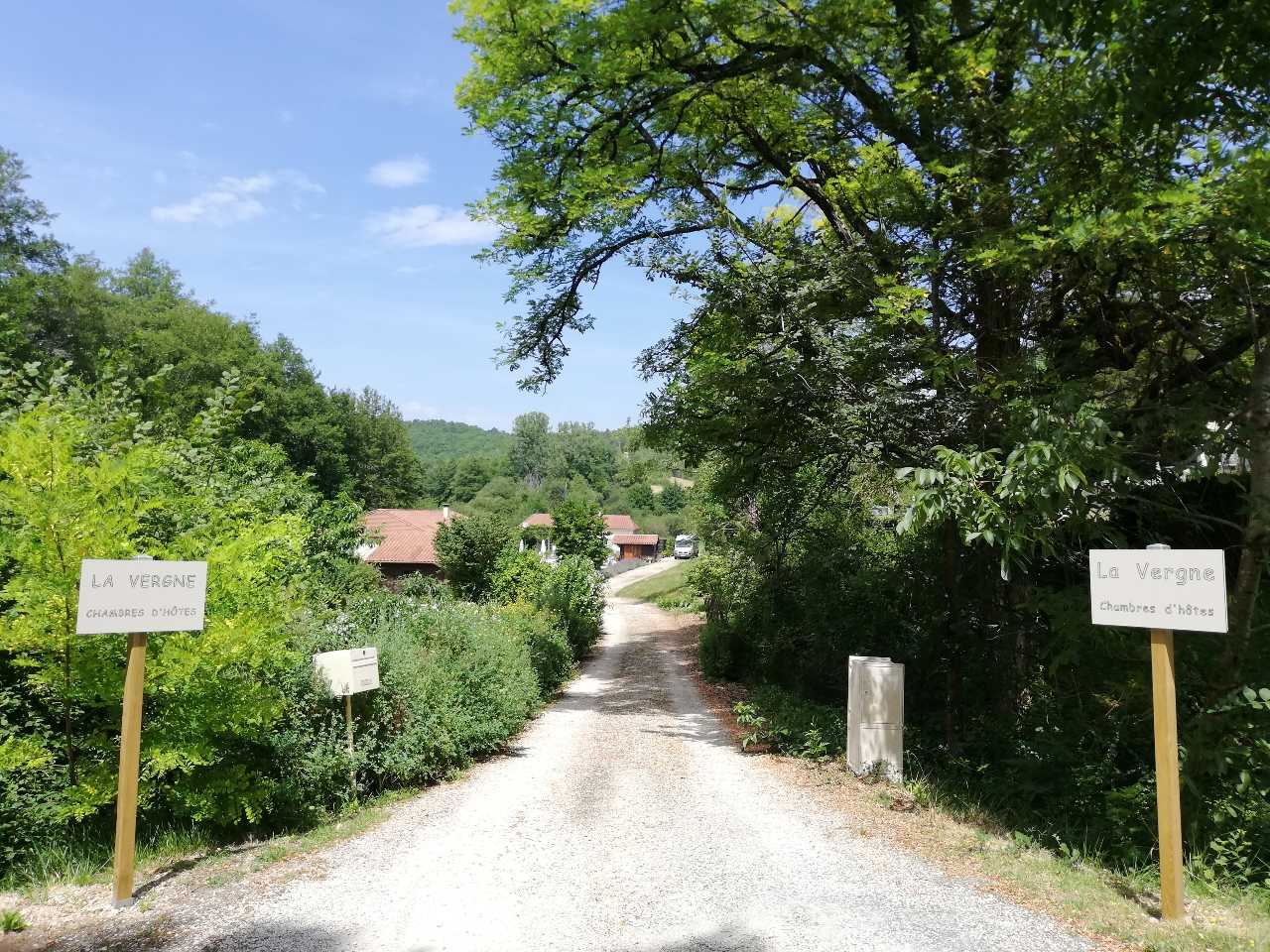 - image: 11
