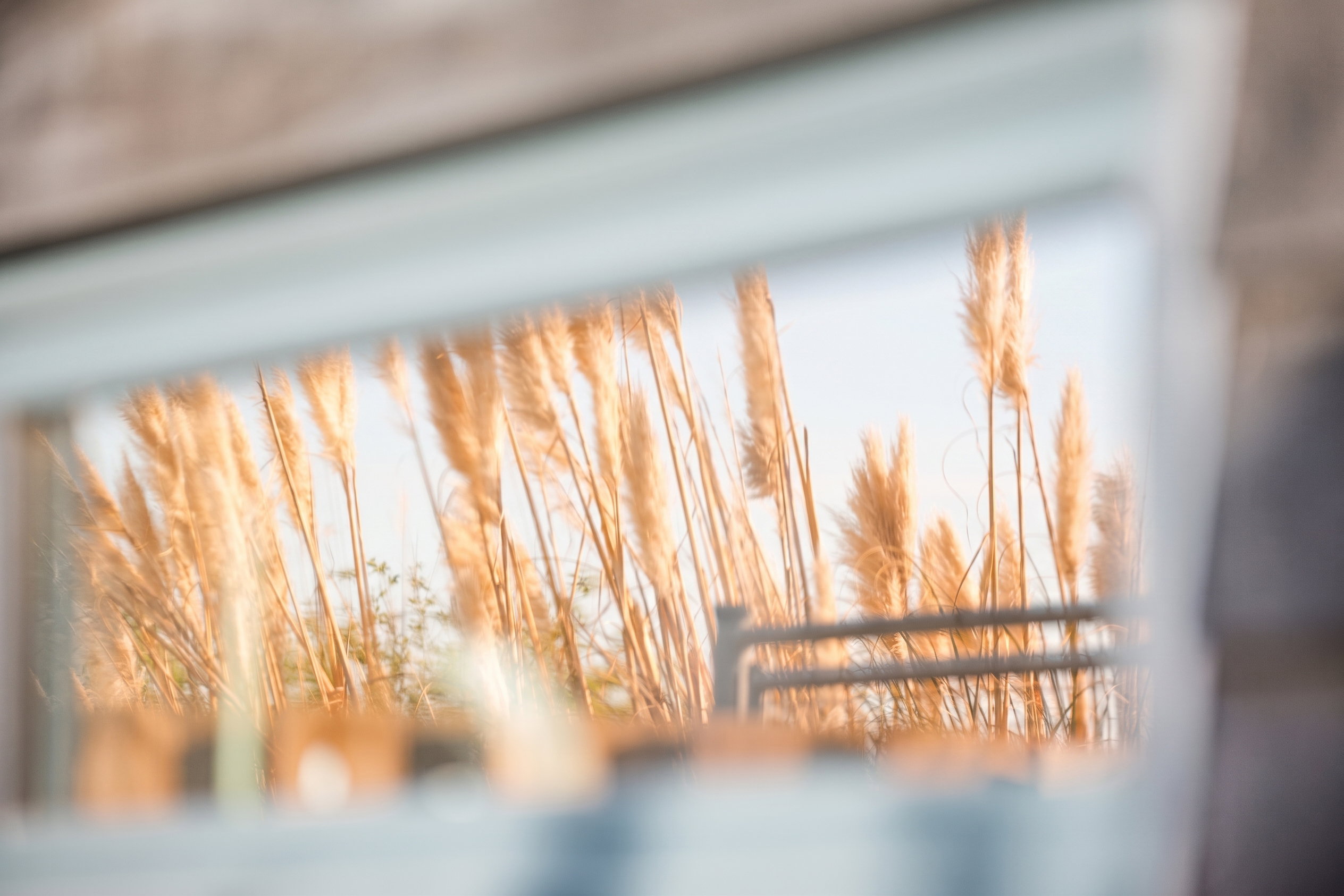 Nature house in Appeltern