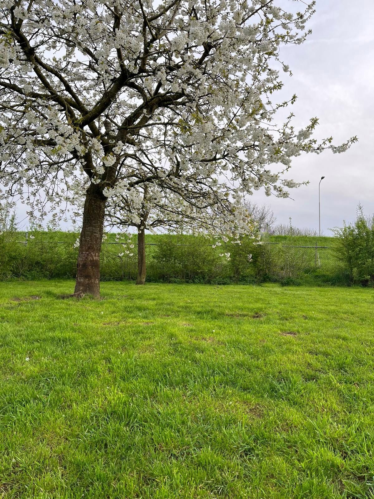 Nature house in Appeltern