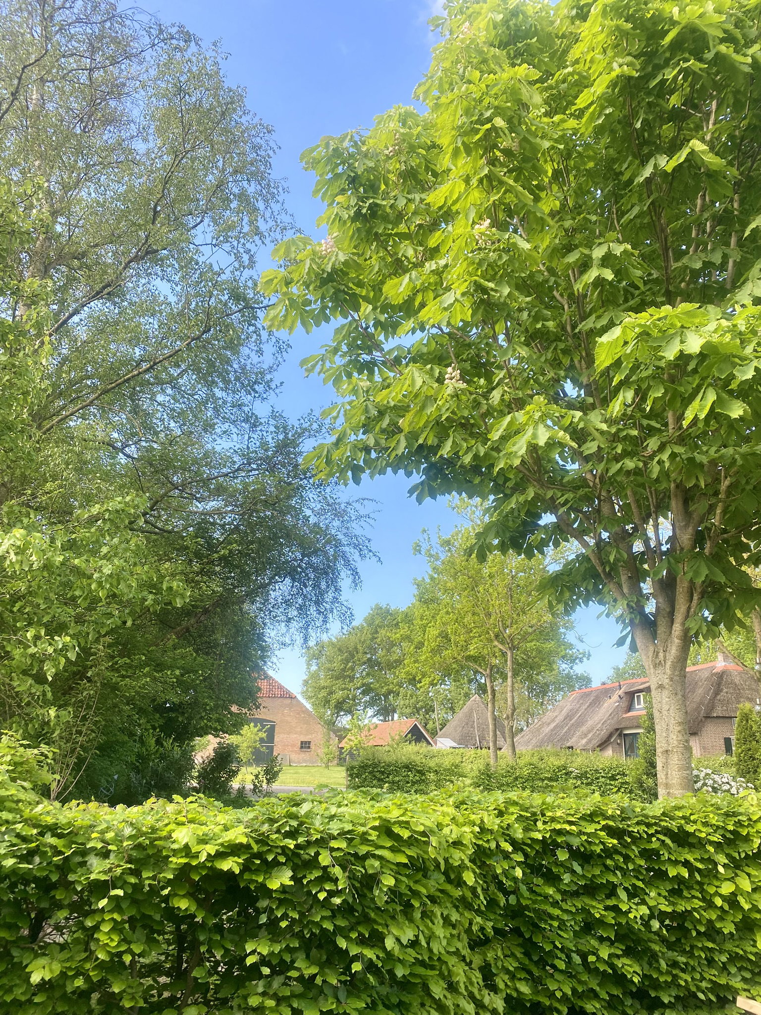 Naturhäuschen in Sint Jansklooster