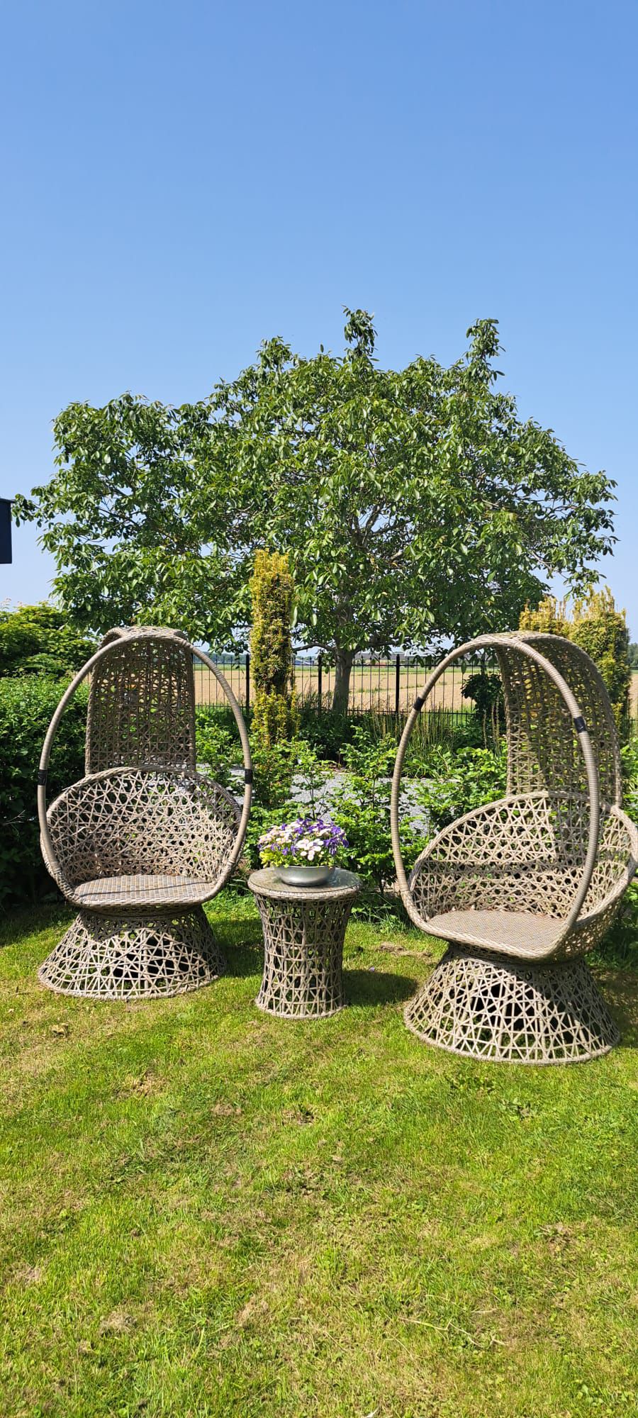 Maison nature à Maasbommel