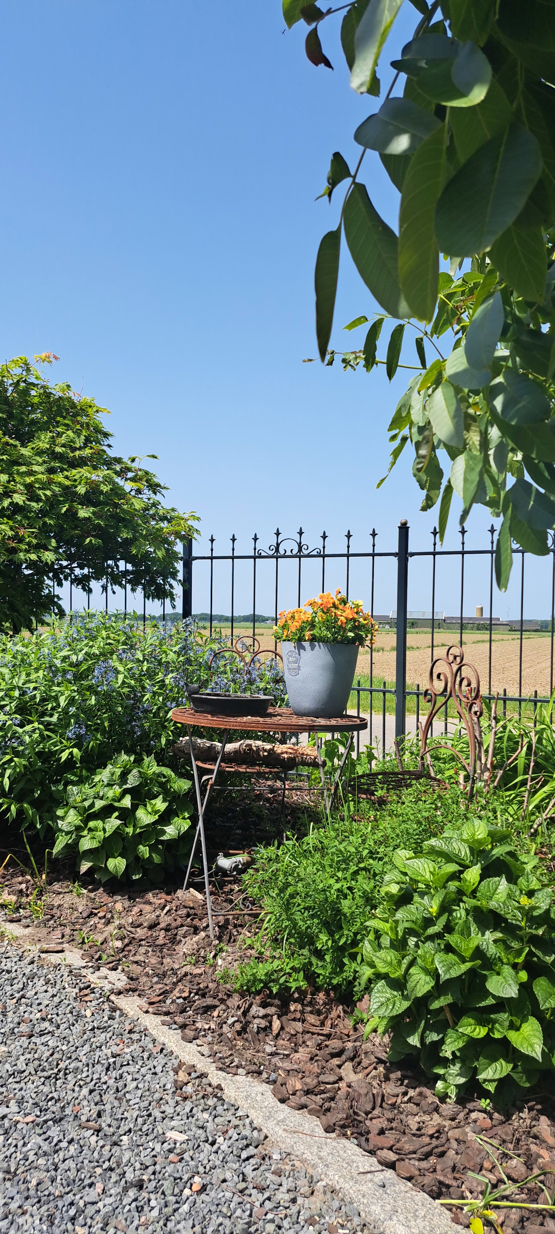 Maison nature à Maasbommel