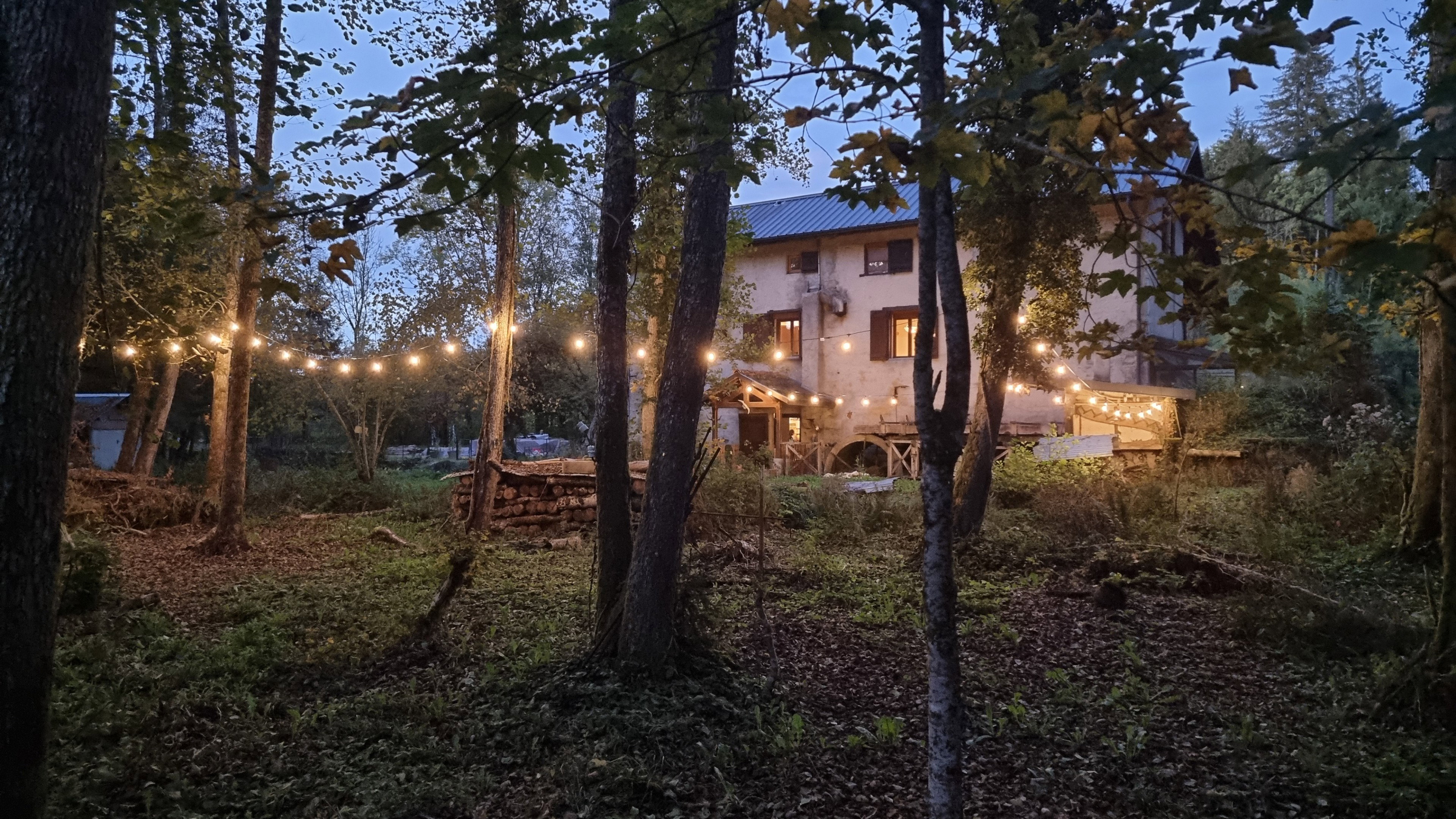- image: 15