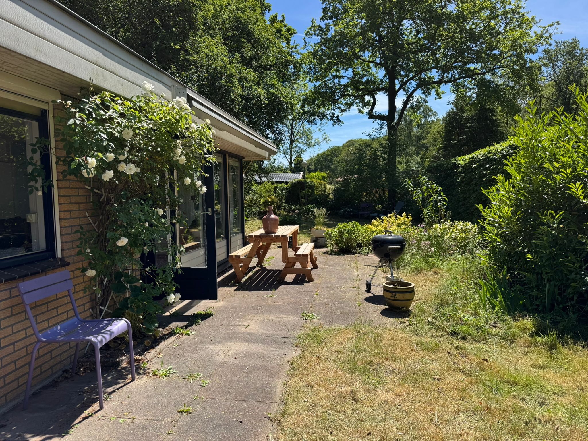 Natuurhuisje in Oldeberkoop