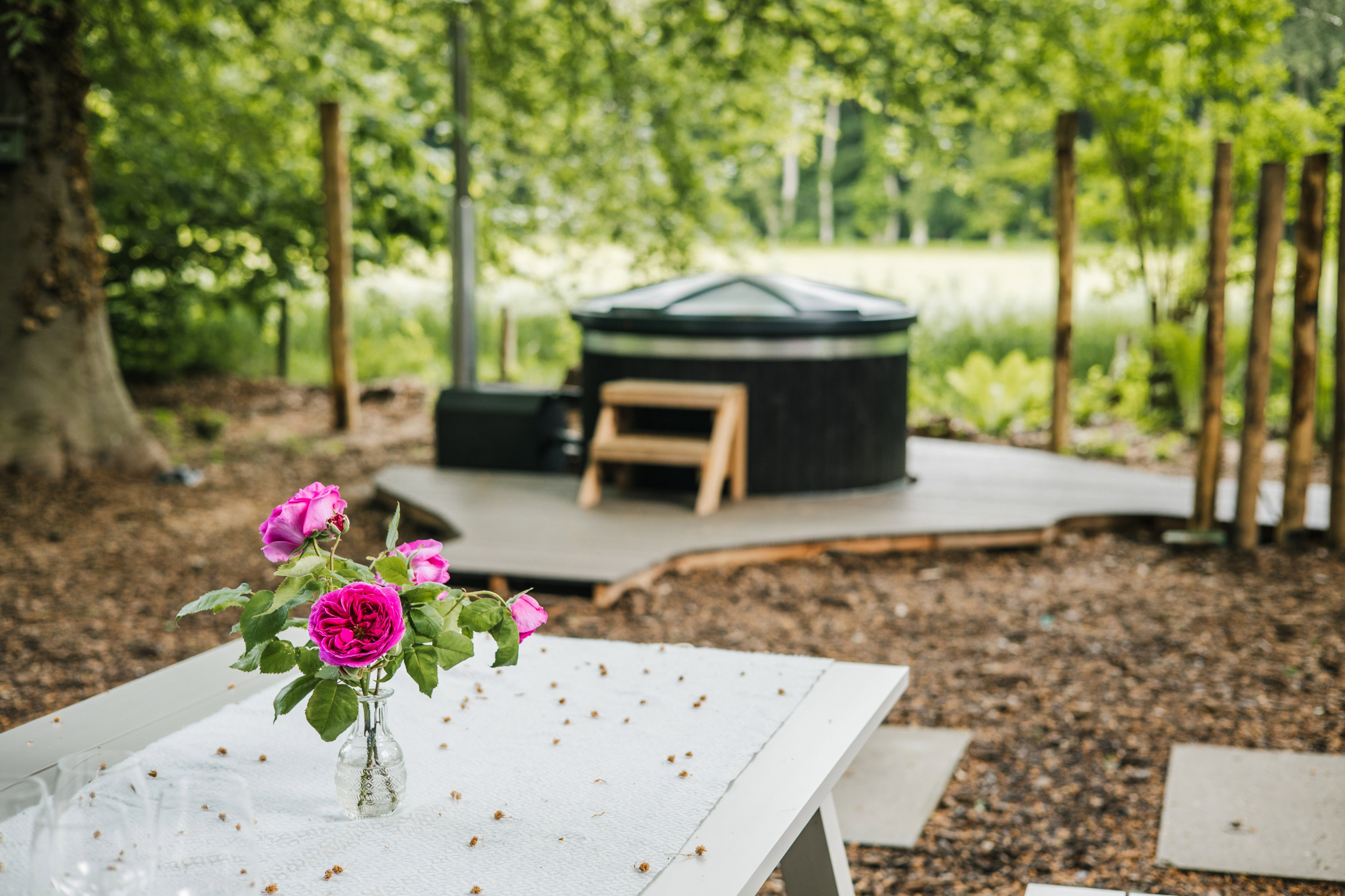 Natuurhuisje in Gorssel