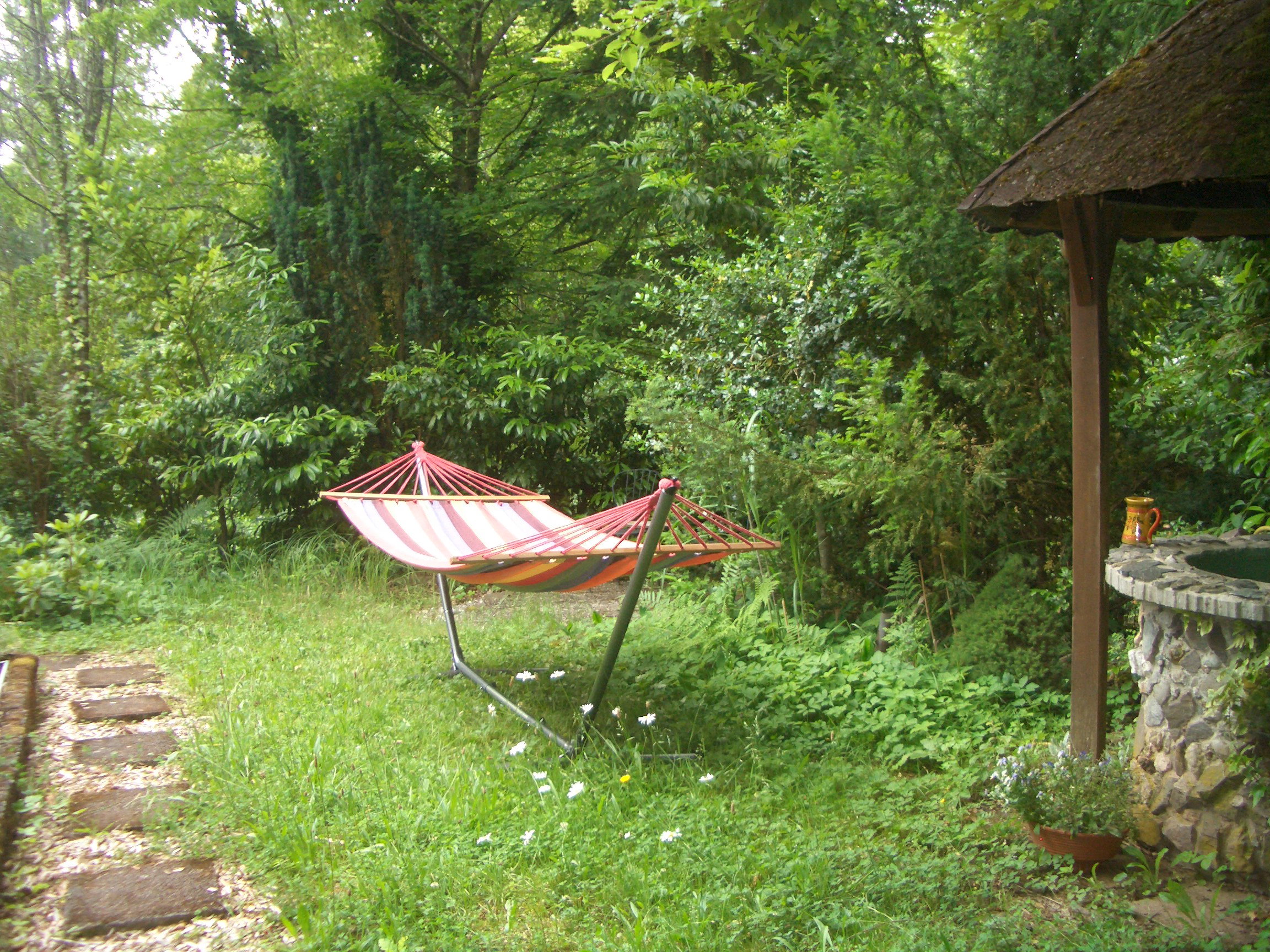 - image: 12
