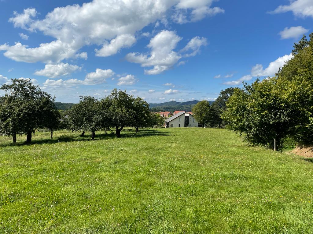 Casa nella natura a Menil-de-Senones