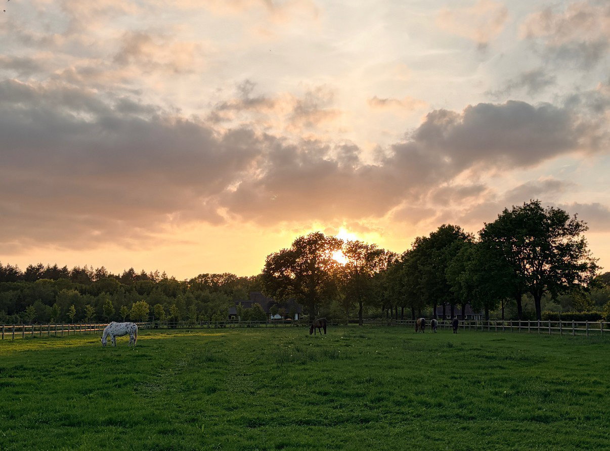 Natuurhuisje in Epe
