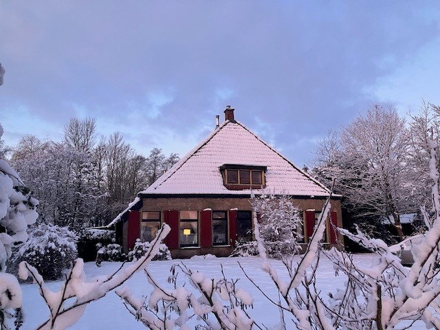 - image: 29