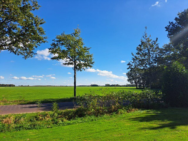 - image: 22