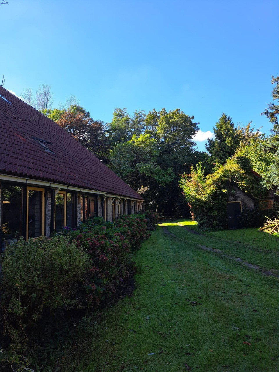 Natuurhuisje in Fochteloo