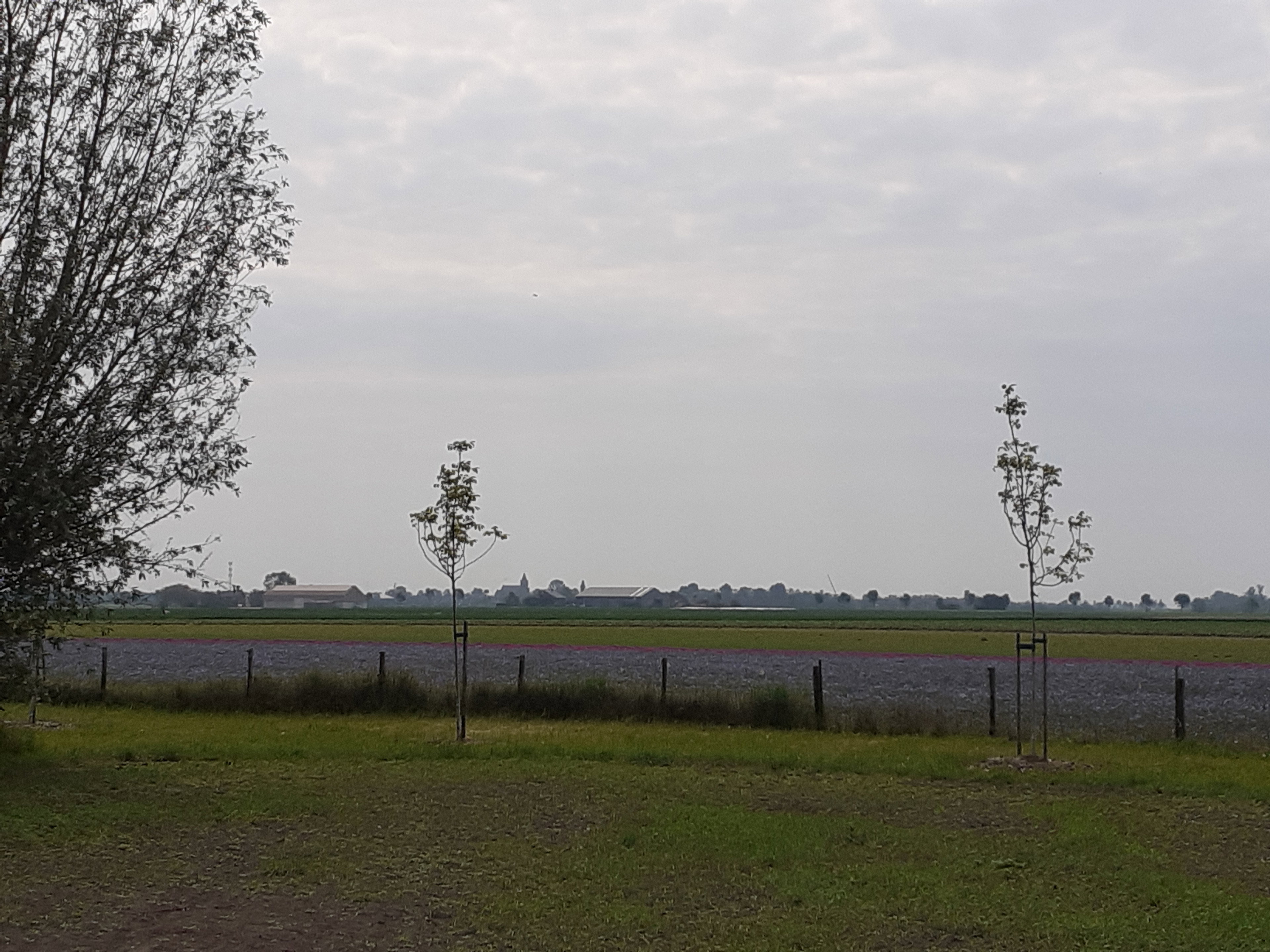 Nature house in Poortvliet