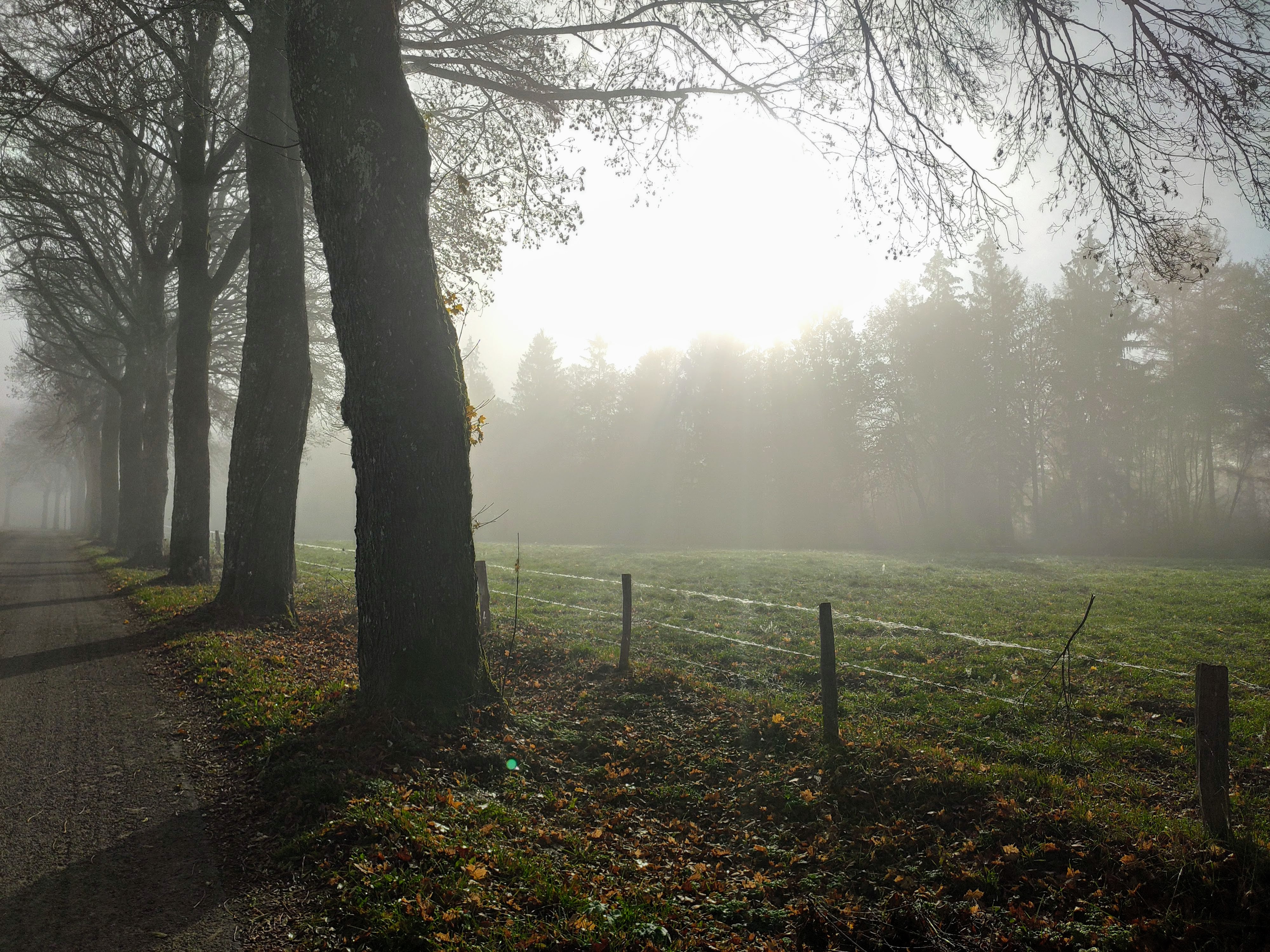 - image: 66