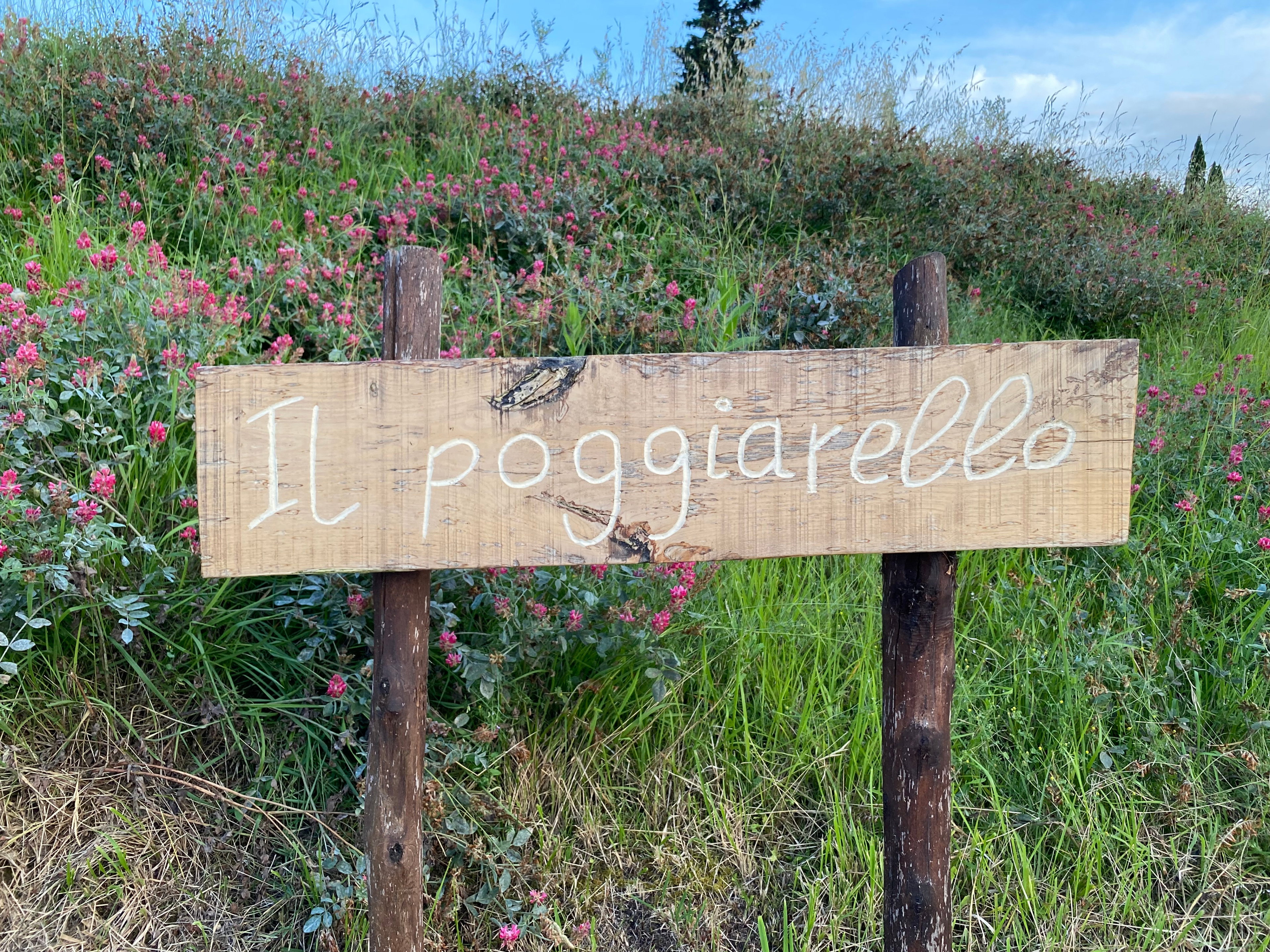 - image: 24