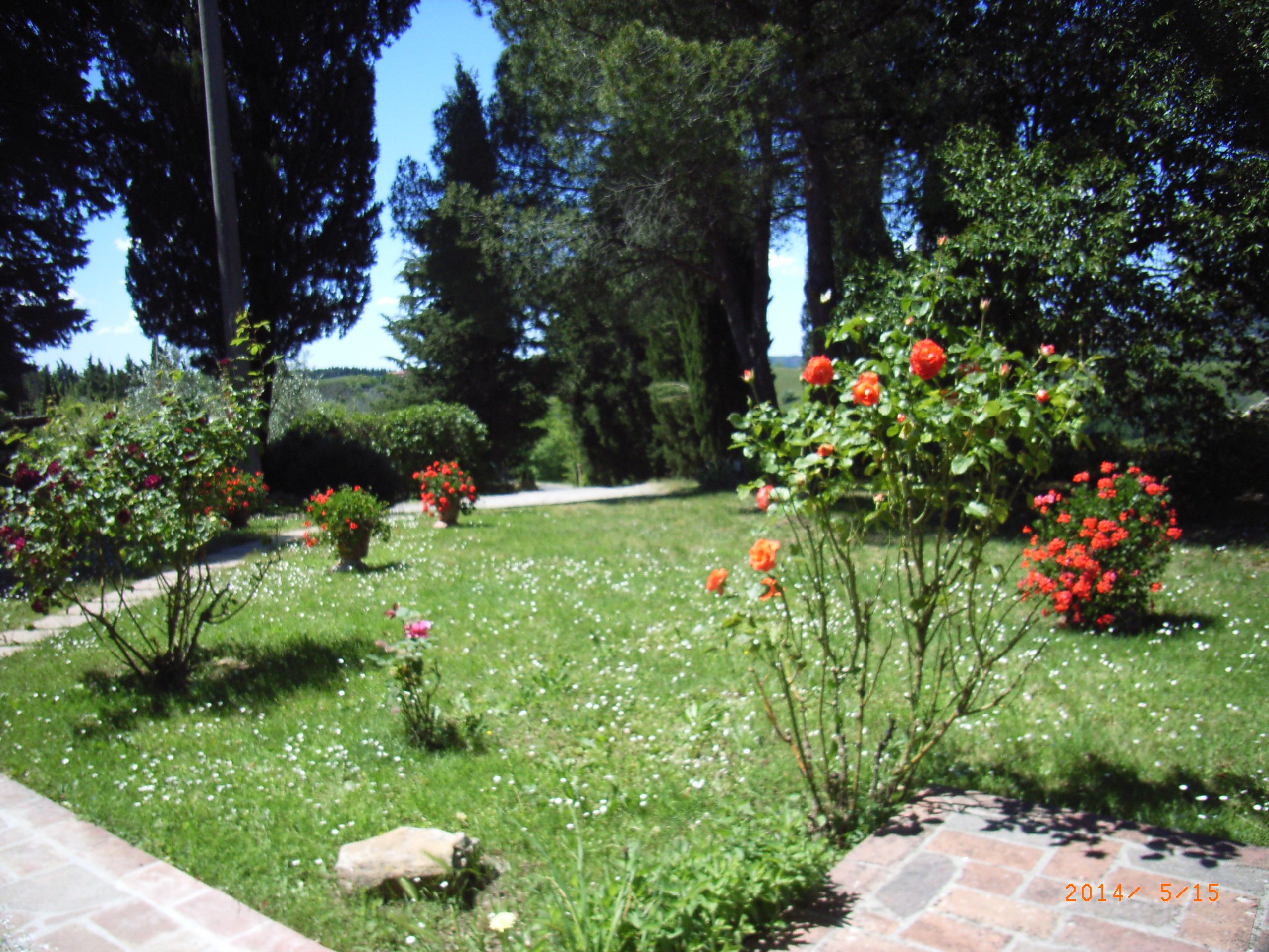 - image: 12